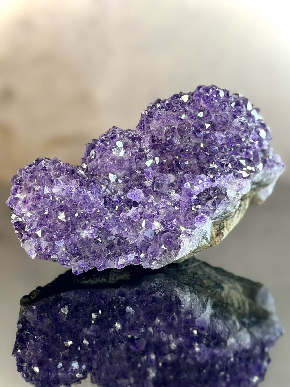 Uruguayan Amethyst Flower — Deep Purple Double-Lobed Rosette from Artigas