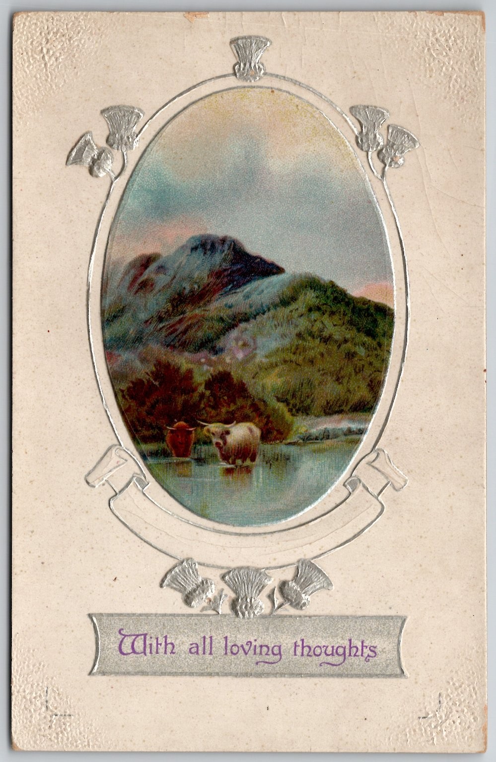 Embossed Scottish Highland Cattle Thistle Postcard B.B. London c1910