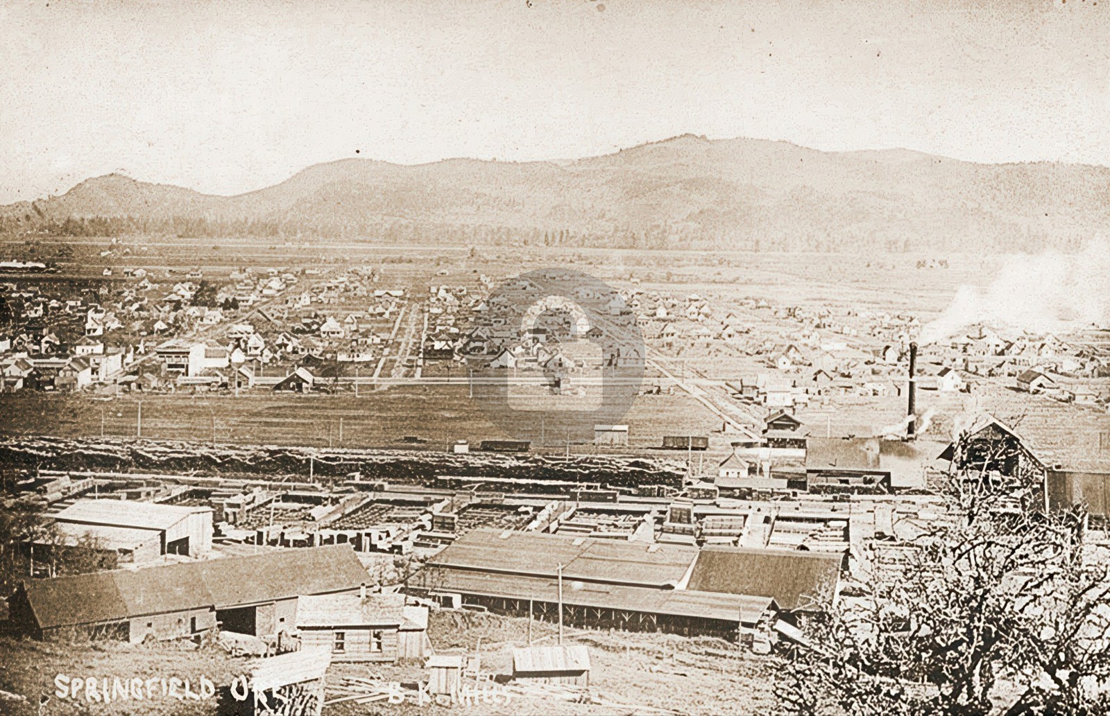 Springfield Oregon Birdseye Town View 1900s RPPC Photo Postcard COPY