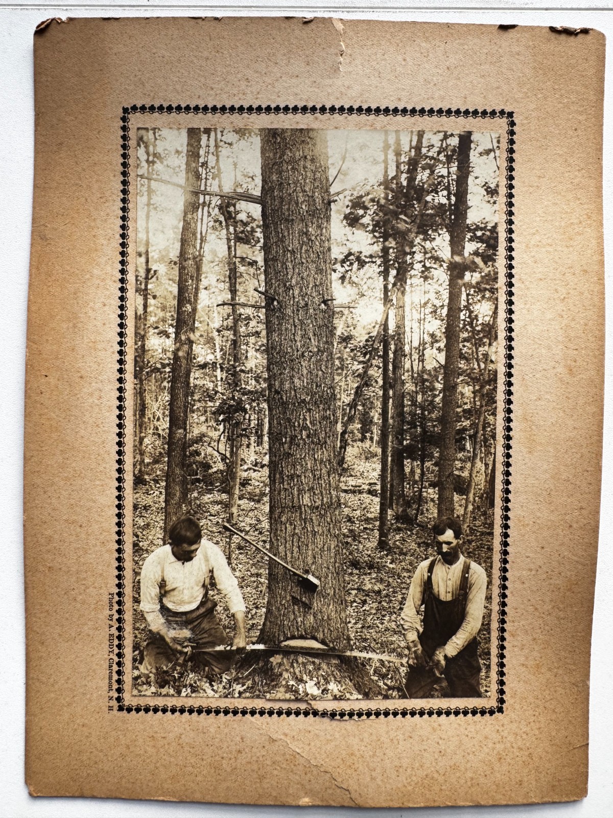 Early 1900s Antique Photograph Men Logging Photo Ackland Eddy Claremont NH 11x8