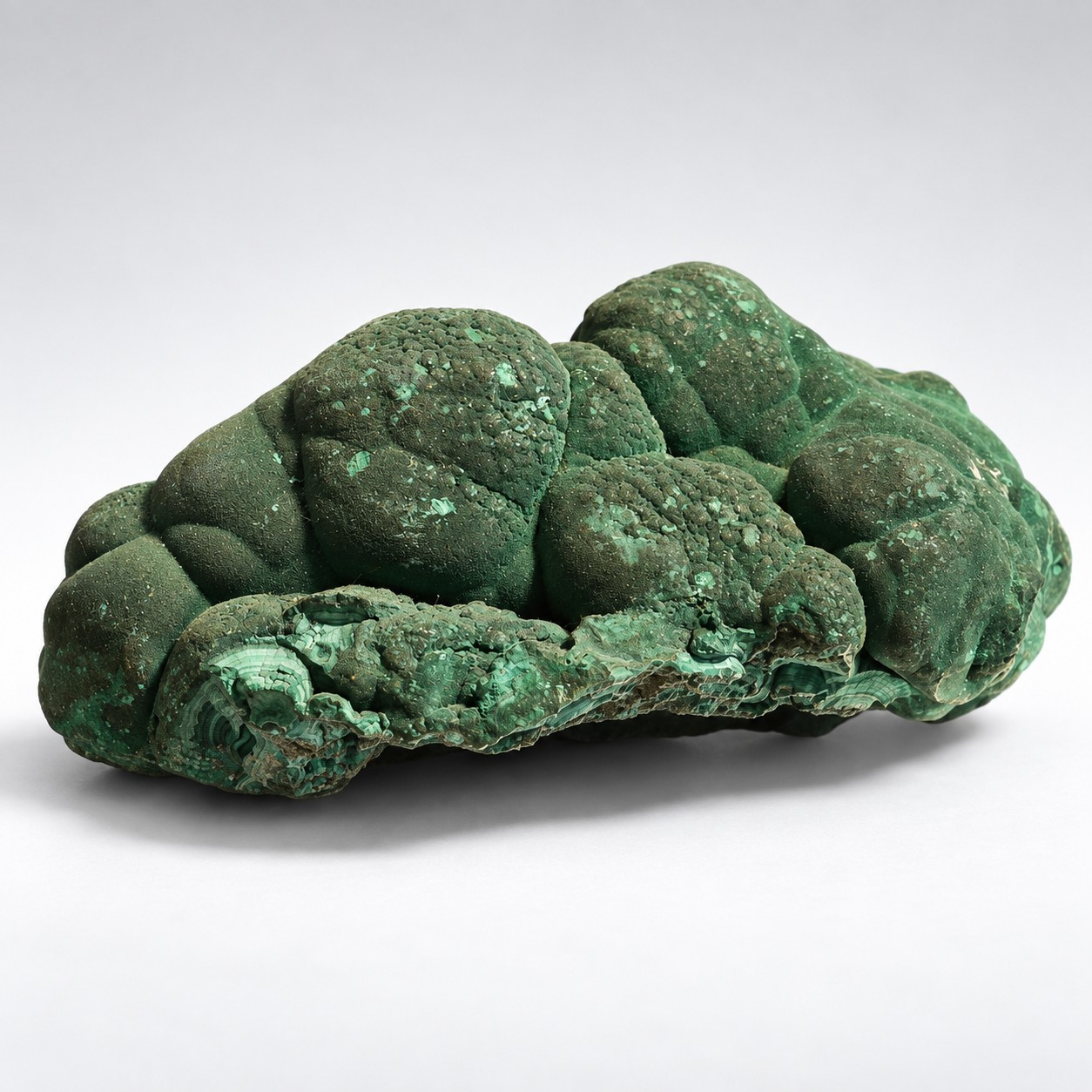 1.72 LB Natural Botryoidal Malachite Congo TopRock Provenance Large Specimen