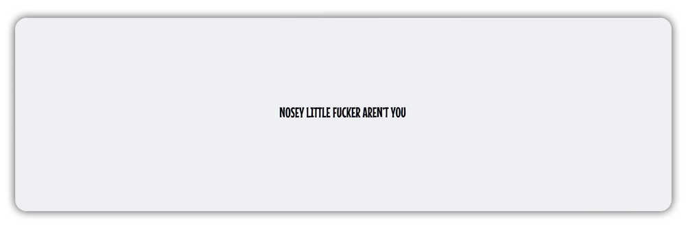 Funny Bumper Sticker - Nosey Little F*cker Aren't You - Mind Your Own Business