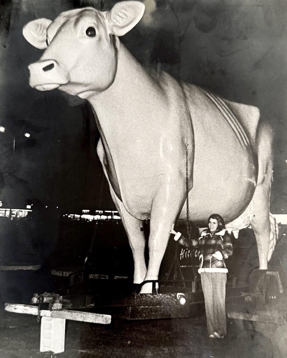 Vintage 1970s Photo Columbus Ohio 15 Foot Hickory Farms Cow Statue Theft 