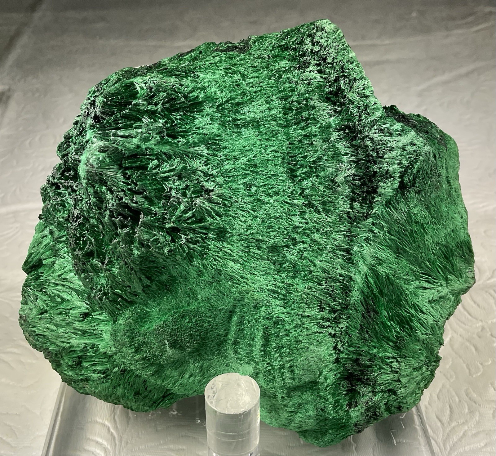 Fibrous Velvet Malachite - Kabolela Mine, Katanga, DR Congo, Africa
