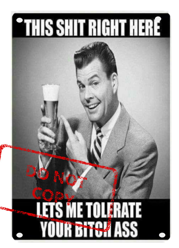 This Beer Right Here Lets Me Tolerate You Funny Retro 8x12 Aluminum Metal Sign