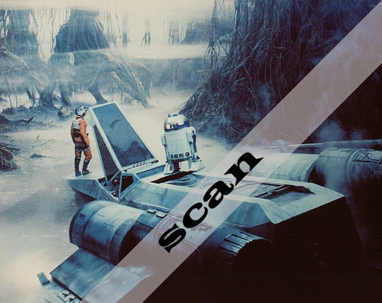 STAR WARS Mark Hamill as LUKE SKYWALKER on Dagobah 8X10 PHOTO #A302