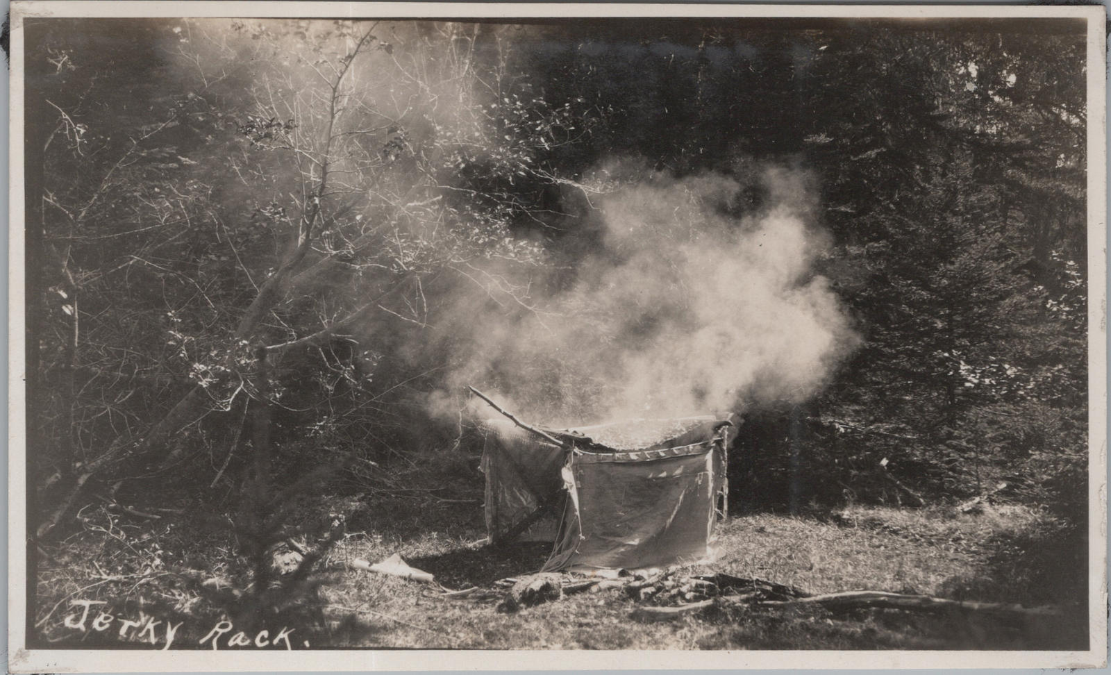 Antique PNW 1929 Jerky rack forest Eastern Oregon 4.5x3 Original Photo