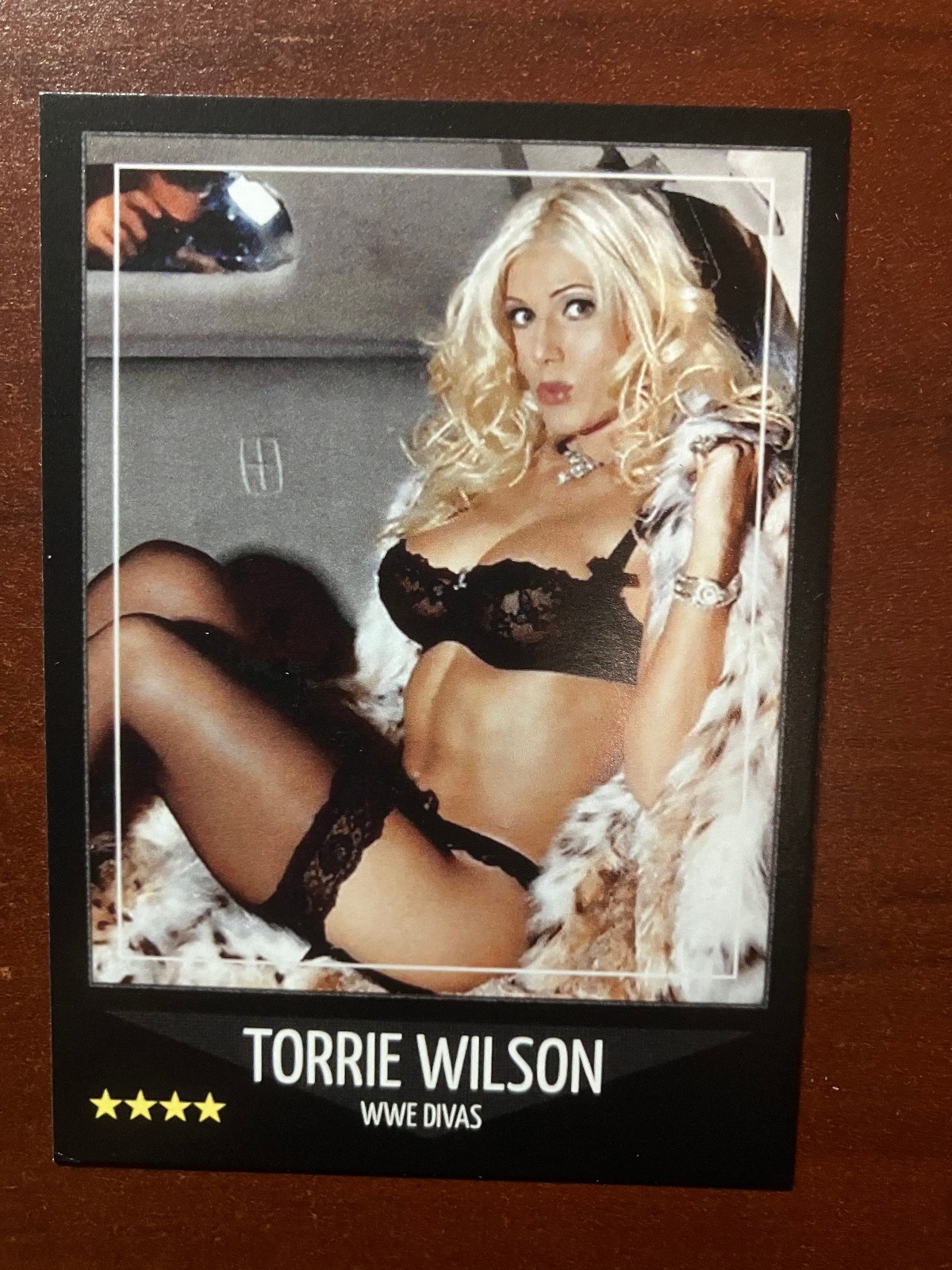 DINGED Custom ACEO Torrie Wilson WWE Divas Wrestling Sports Card (TW-2)