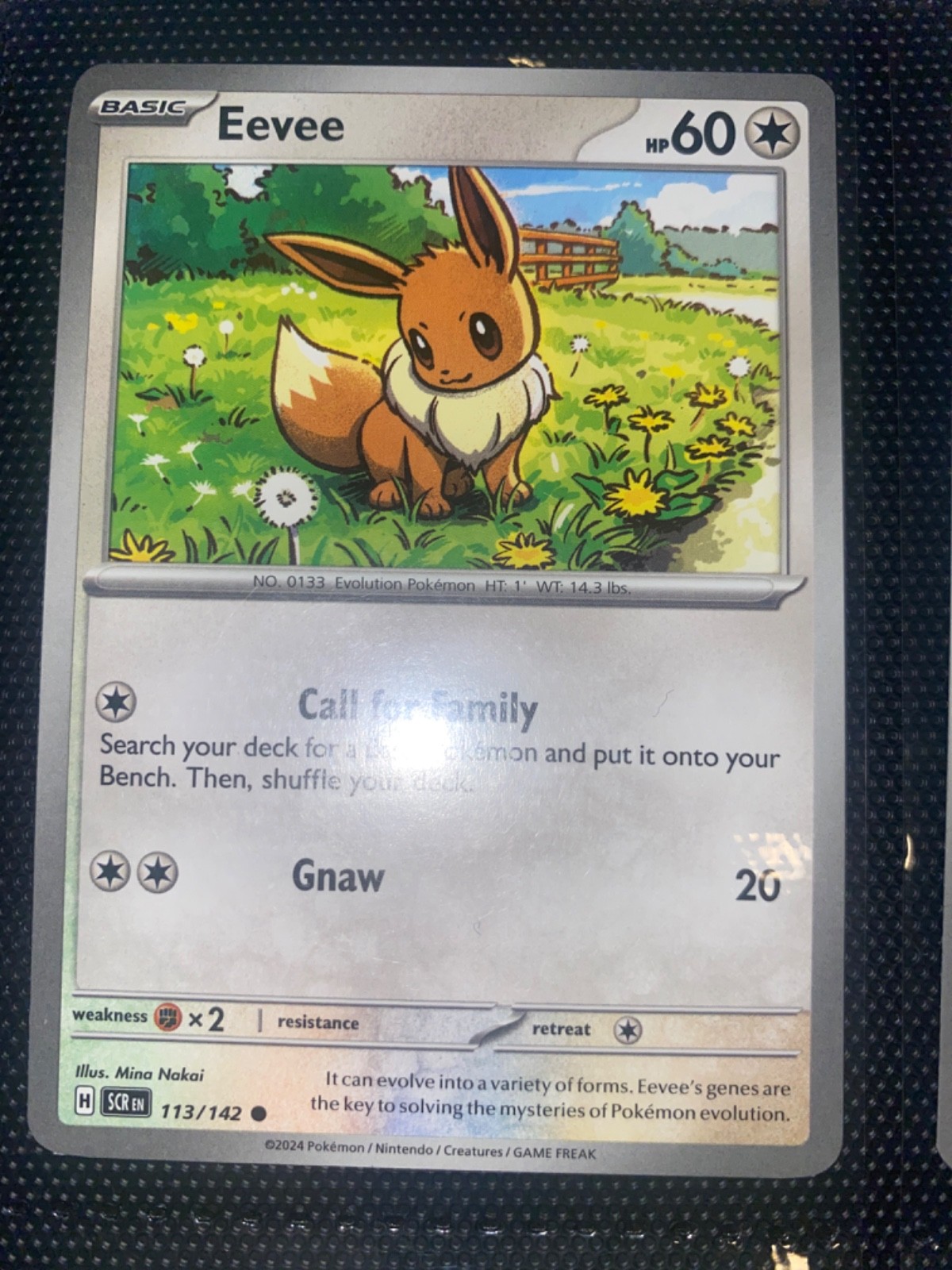Eevee 113/142 Stellar Crown Pokemon Near Mint