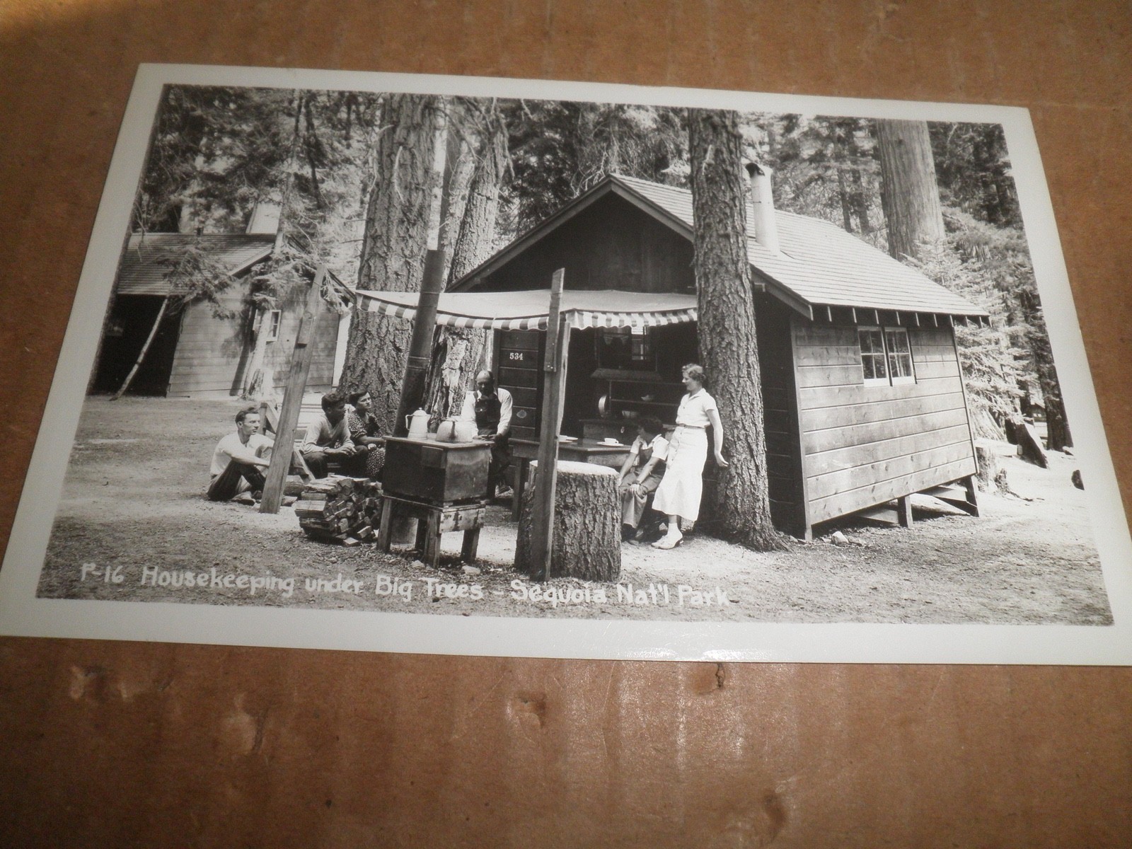 Sequoia  National Park - Housekeeping Under Big Trees  photo postcard 1930\'s