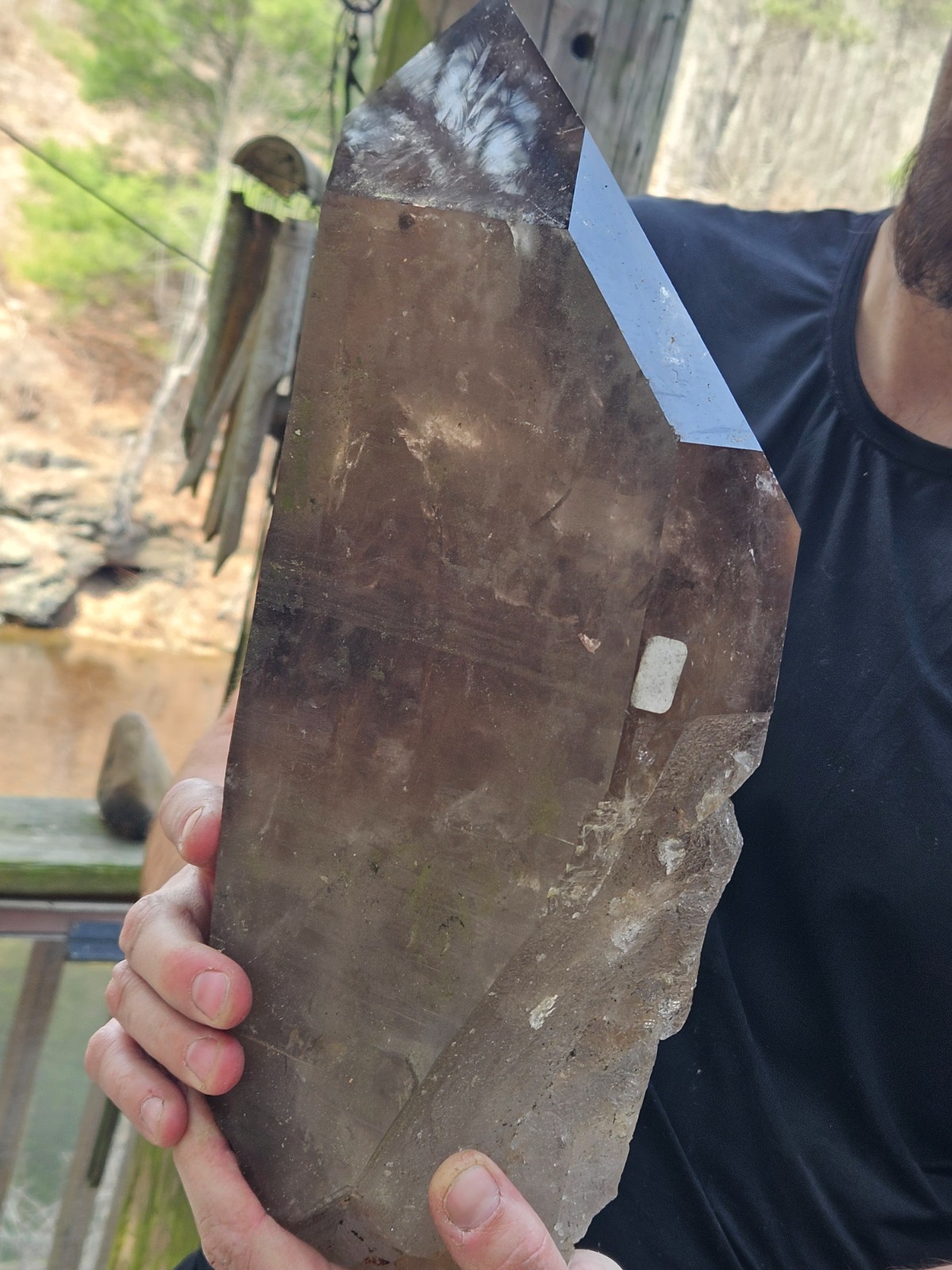 HUGE 26LB Smoky Smokey Quartz Crystal: Brazil
