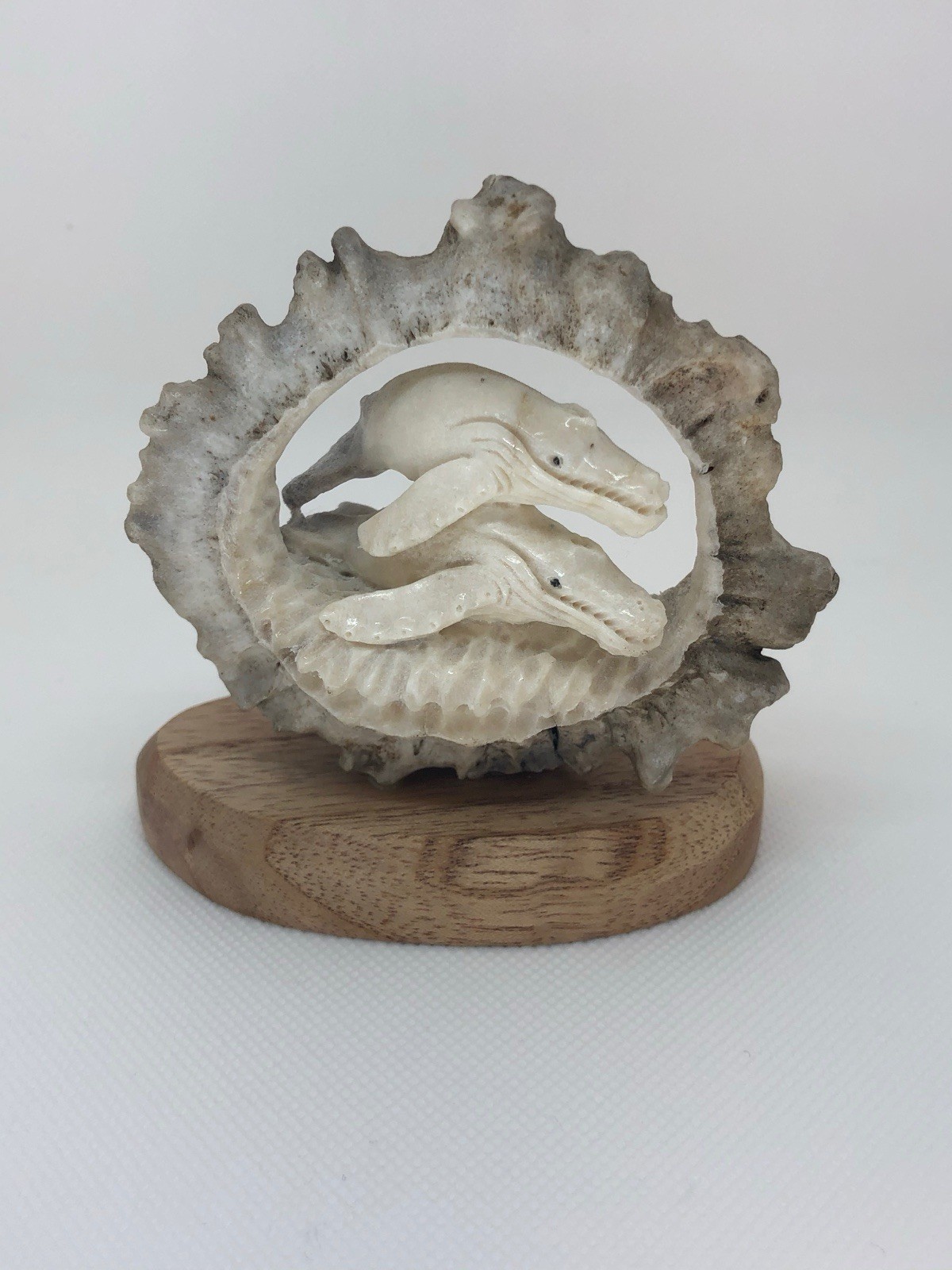 Moose Antler Knuckle Carving - Double Whales  - Brand New - 