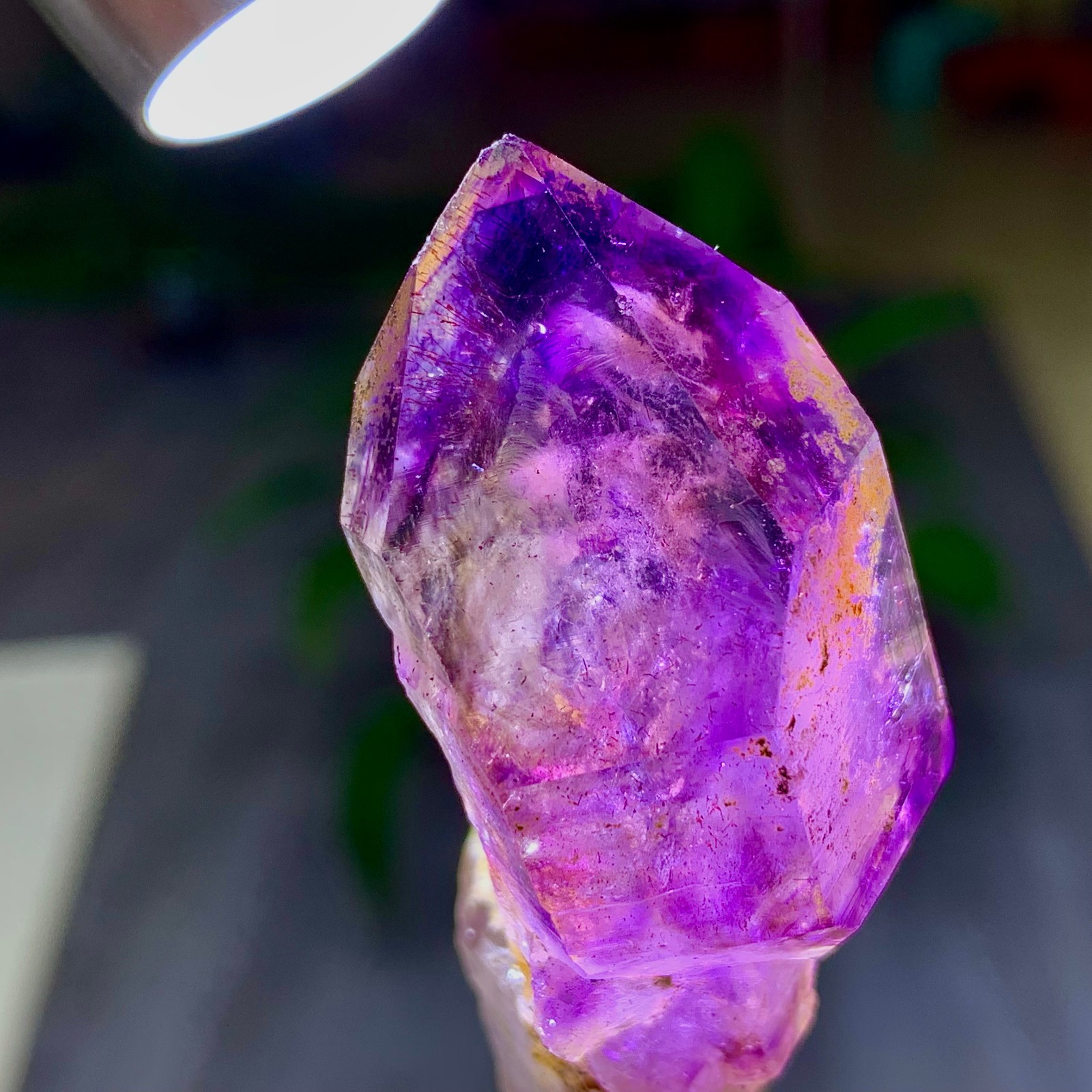 44G Natural Zimbabwe super 7 Amethyst Crystal Mineral Specimen