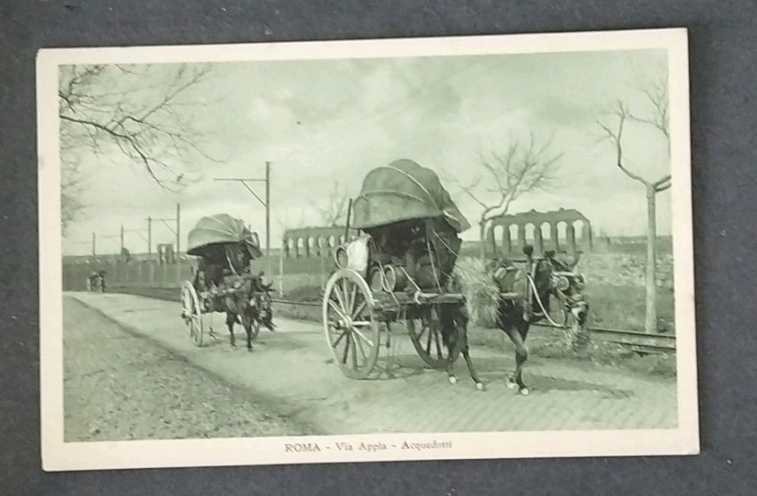 Postcard Rome Via Appia Acquedotti Ediz. Brunner & C. Como Serie 2 n.18716