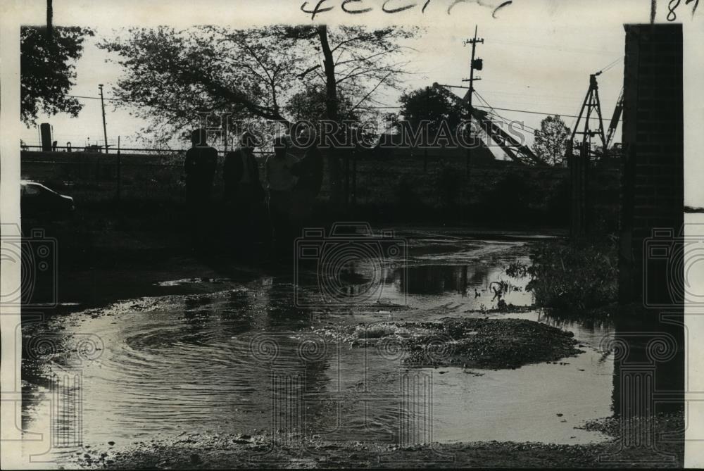 1973 Press Photo Audubon Park - Flooding Caused by Water Under Levee - noa23090
