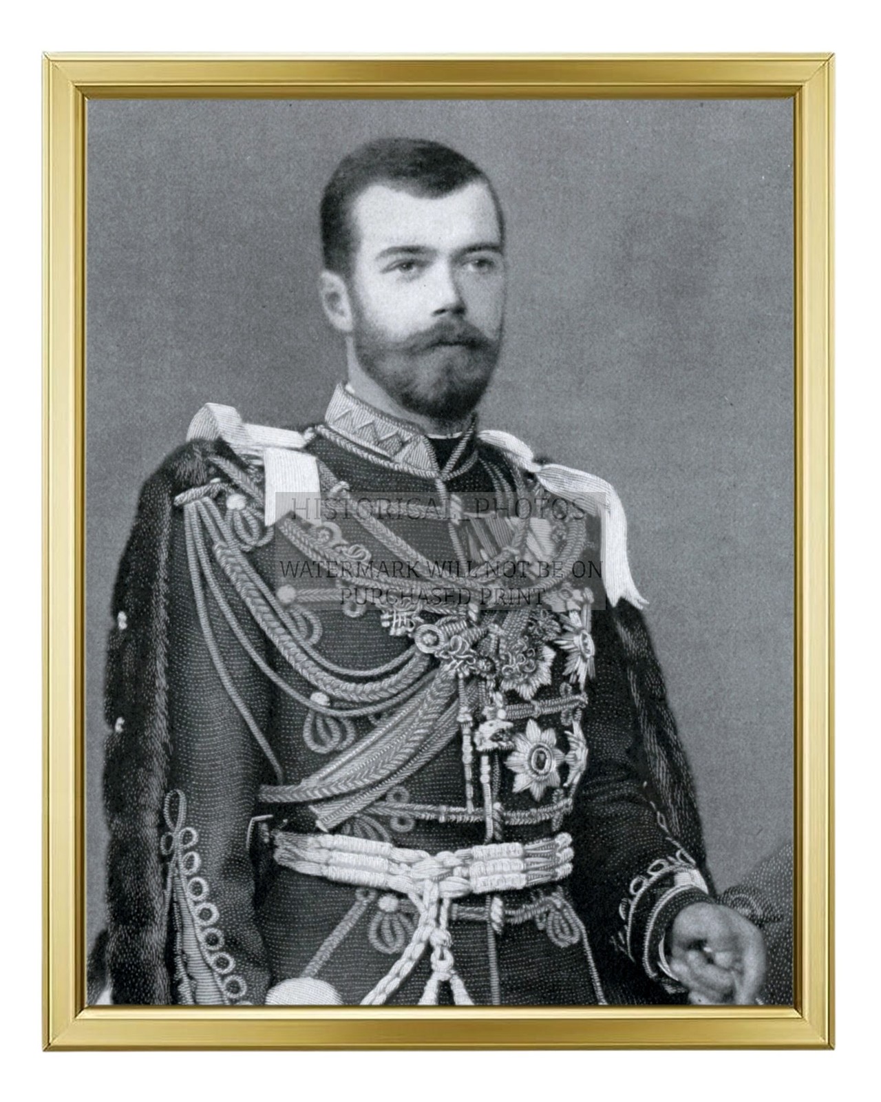 CZAR NICHOLAS II RUSSIAN ROYAL PORTRAIT MILITARY 8X10 GOLD FRAMED PHOTO
