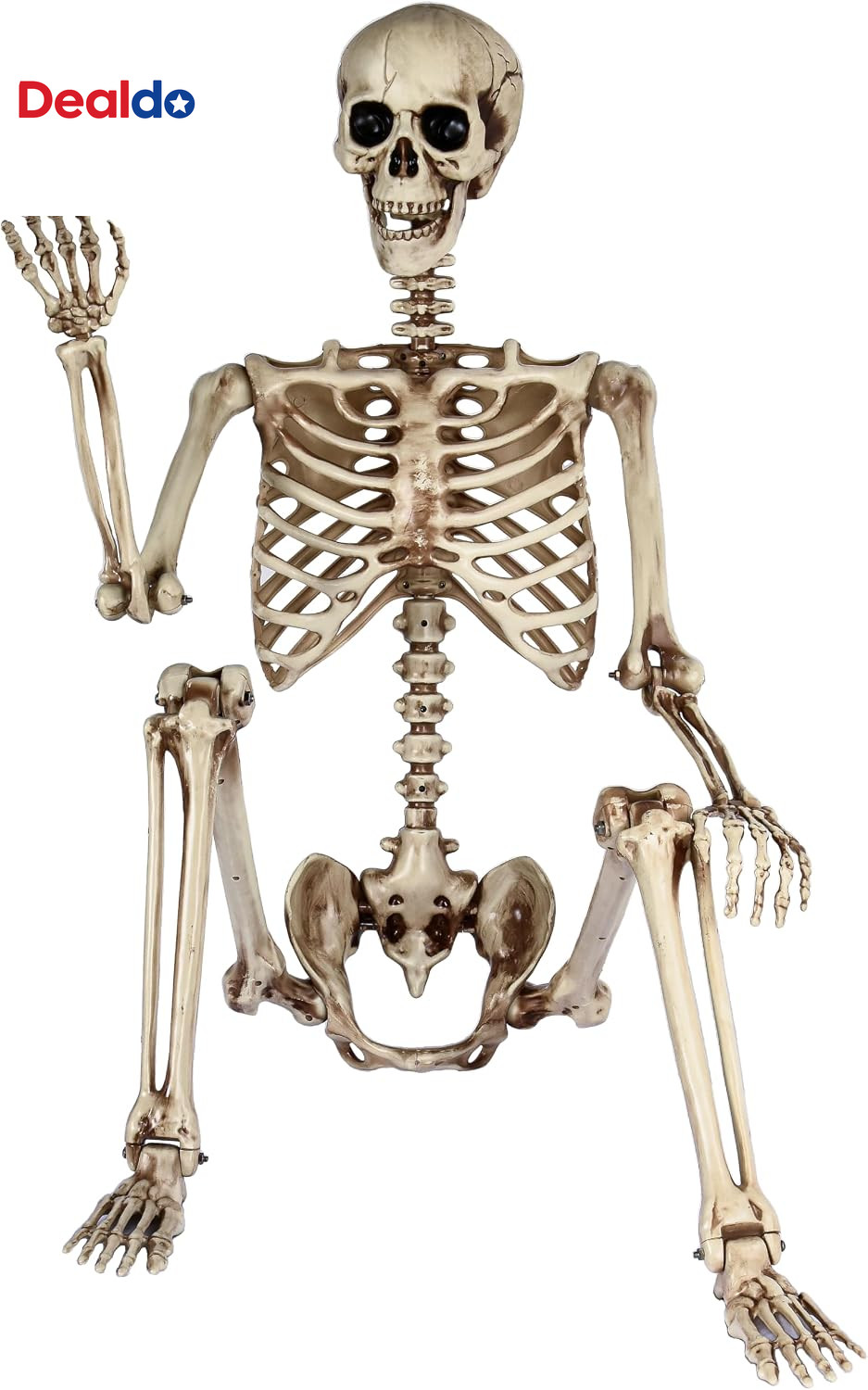 5.4Ft Life Size Skeleton,Poseable Halloween Giant Skeletons Decorations Outdoor,