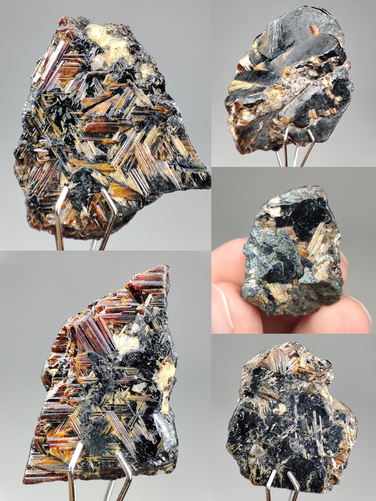 Rare Red Rutile Crystals on Hematite (Sagenite Var. Rutile) Lot (5 PCs) from Pak