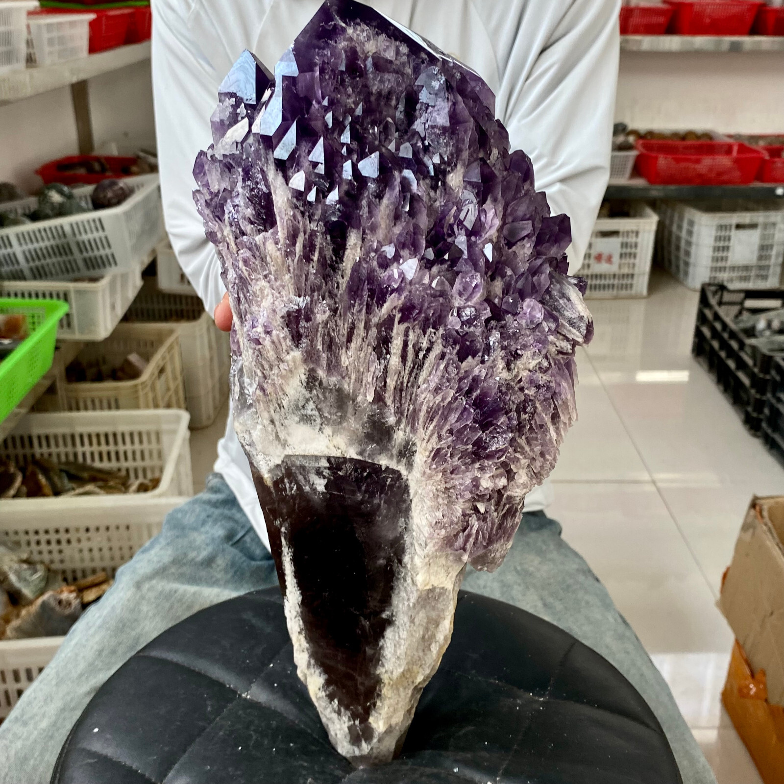 19.02LB Natural Amethyst Cluster quartz cluster crystal mineral specimen Healing