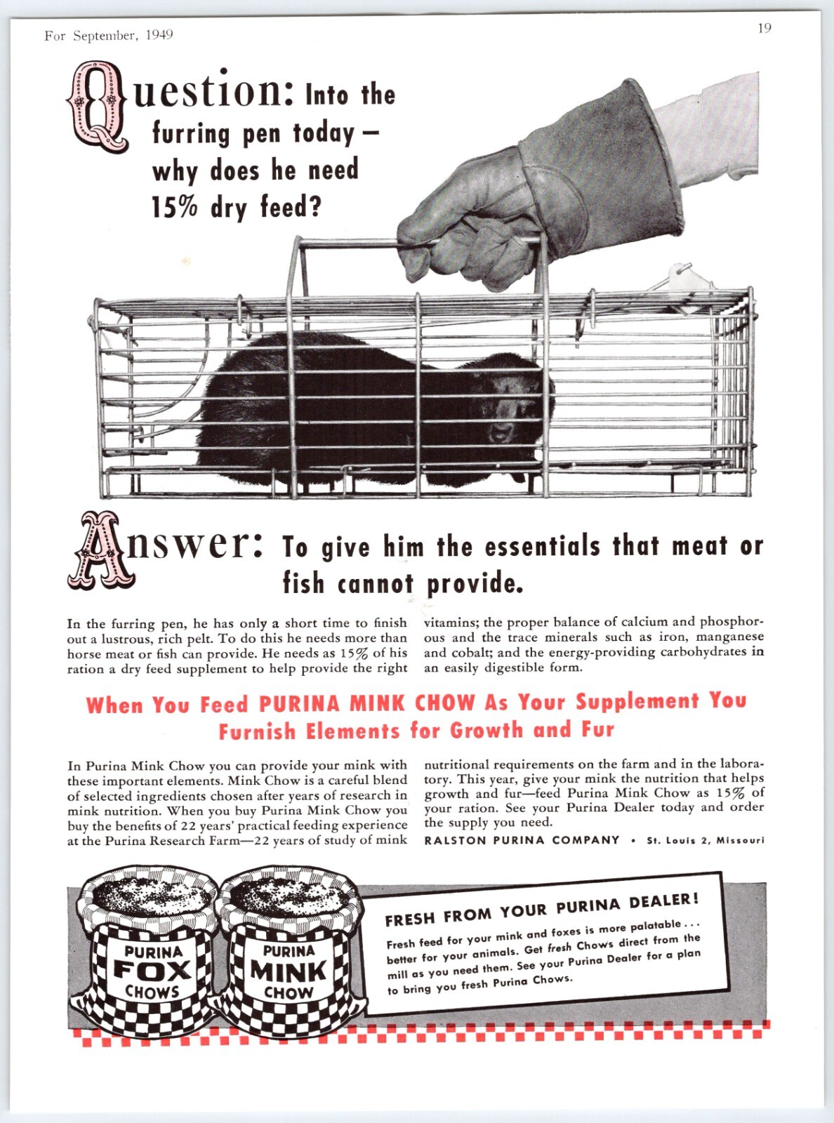1949 PURINA MINK CHOW Fox Food Vintage 8\