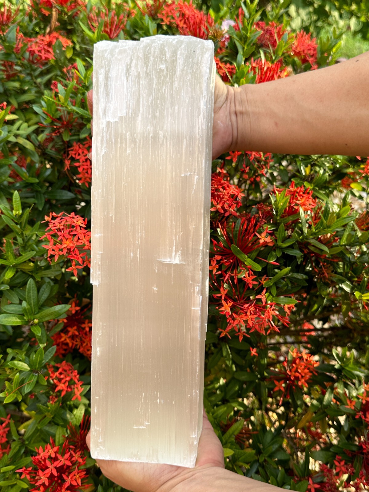 Jumbo Selenite log, Natural White Crystal Huge Selenite Log, Giant Raw Selenite Jumbo Selenite log, Natural White Crystal Huge Selenite Log, Giant Raw Selenite