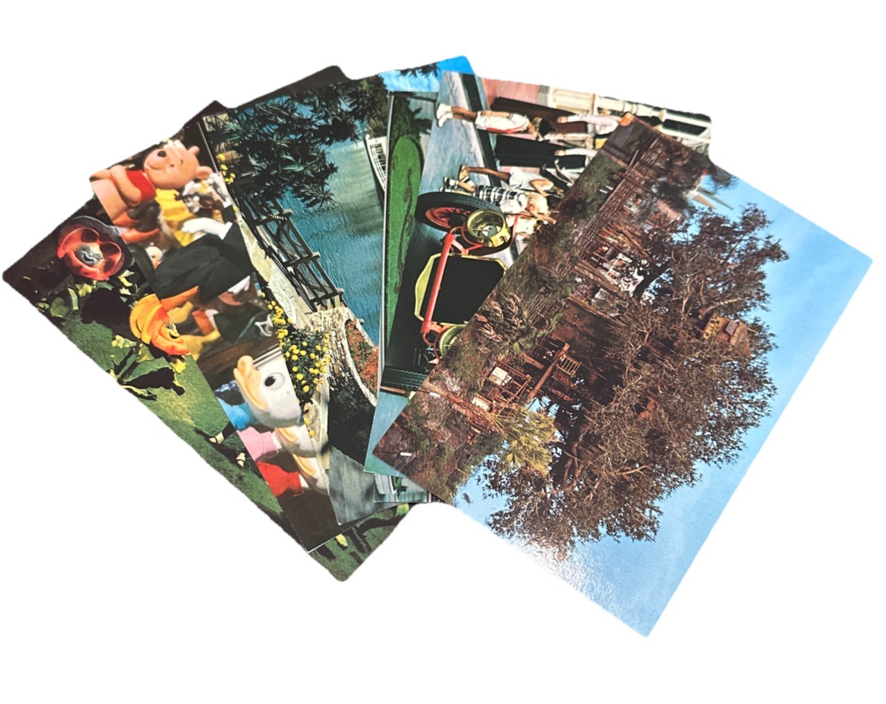1 Vintage Mystery Walt Disney World Postcard From The 1970’s