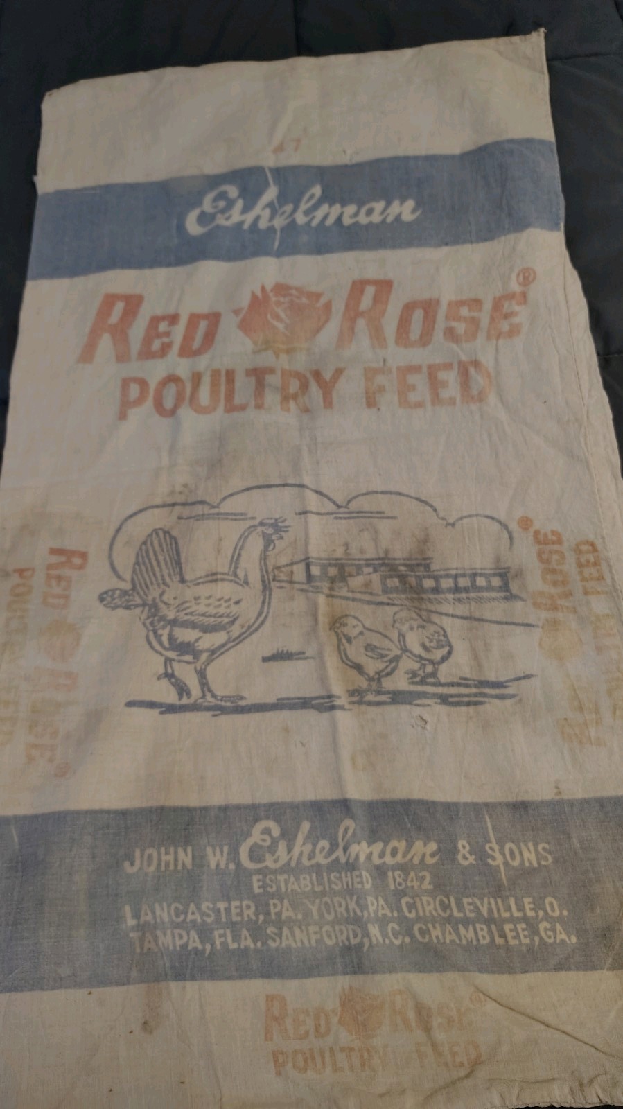 VINTAGE 100 POUND RED ROSE POULTRY FEED SACK  Eshelman & Sons PA Farmhouse 
