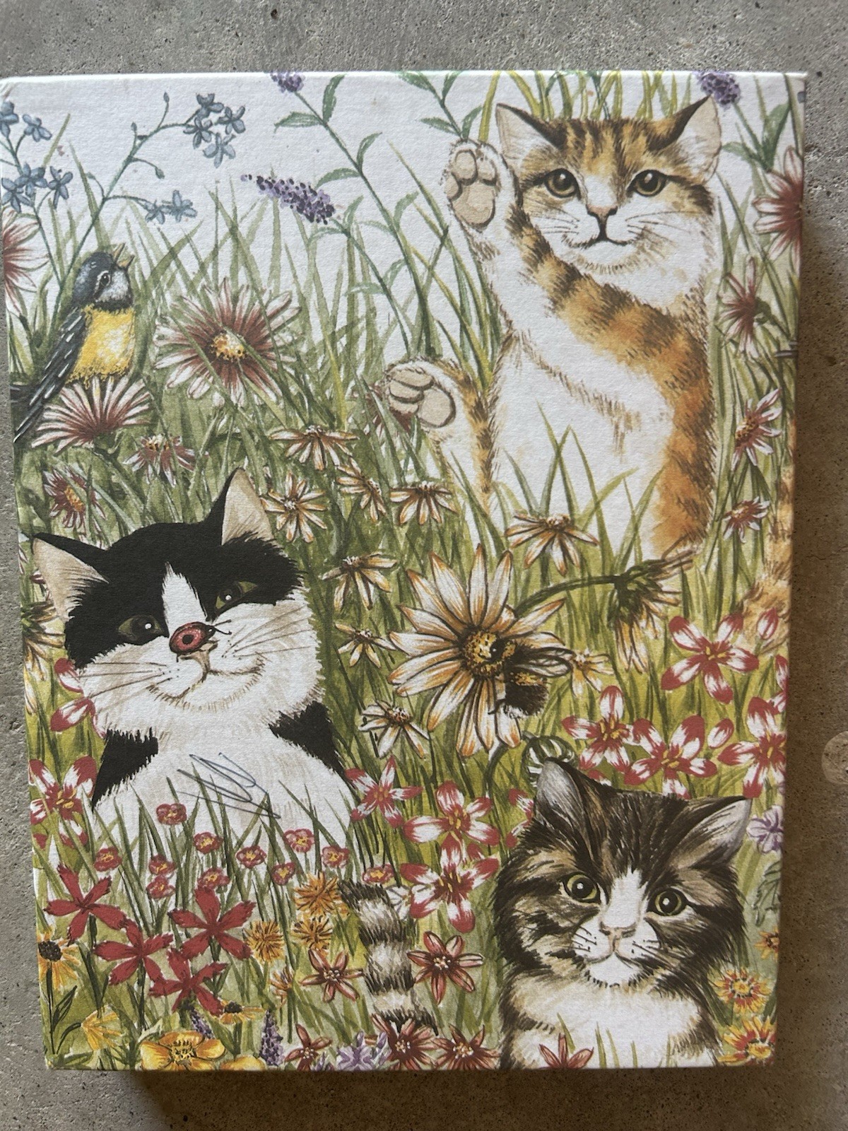 Vintage Cat and Butterfly Stationary 12 Sheets 12 Envelopes NOS