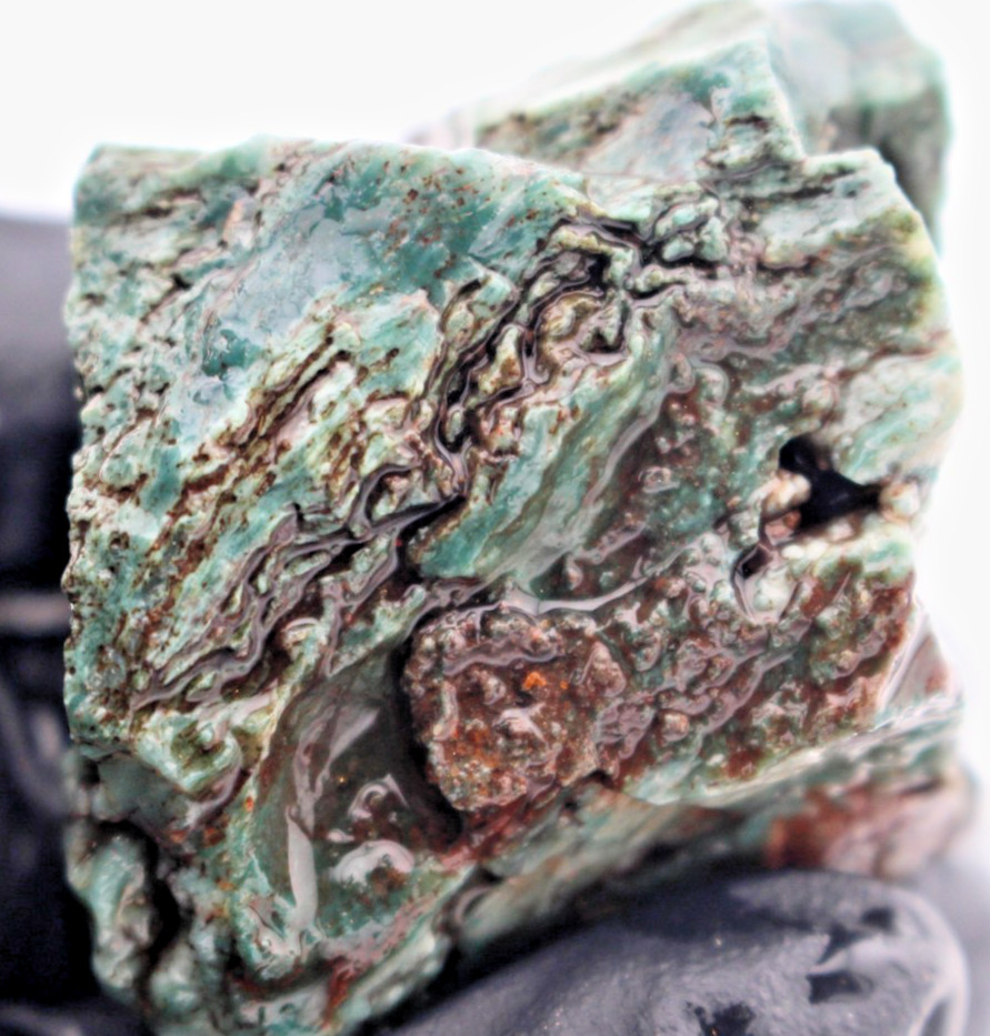 Blue Green Hampton Butte Jasperized Petrified Wood Rough Natural Raw Rare 2.30oz
