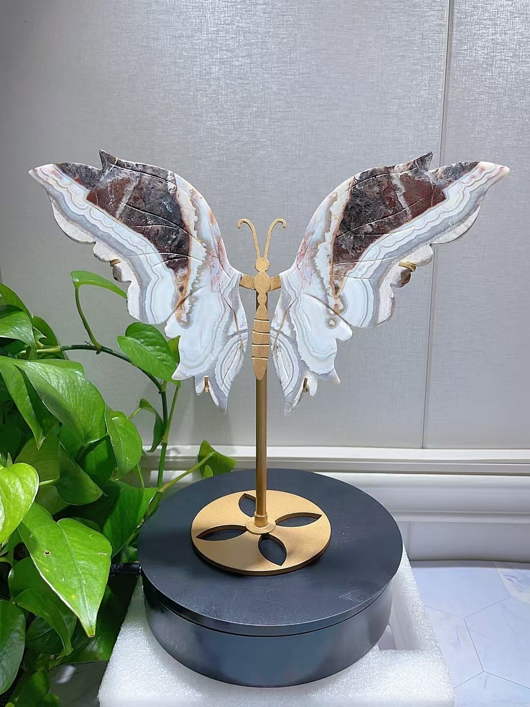 1pc  Natural Mexican agate butterfly wings Crystal wings carving Home decor