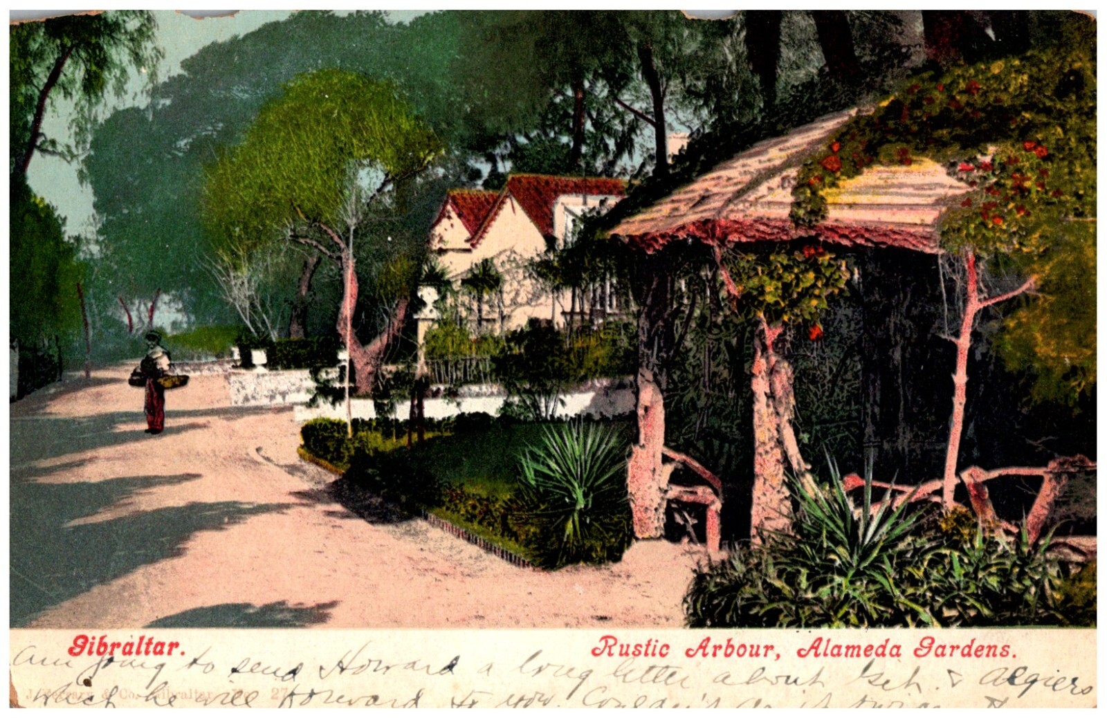 Rustic Arbour Alameda Gardens Gibraltar 1911 Postcard UDB Hand Tinted Photo