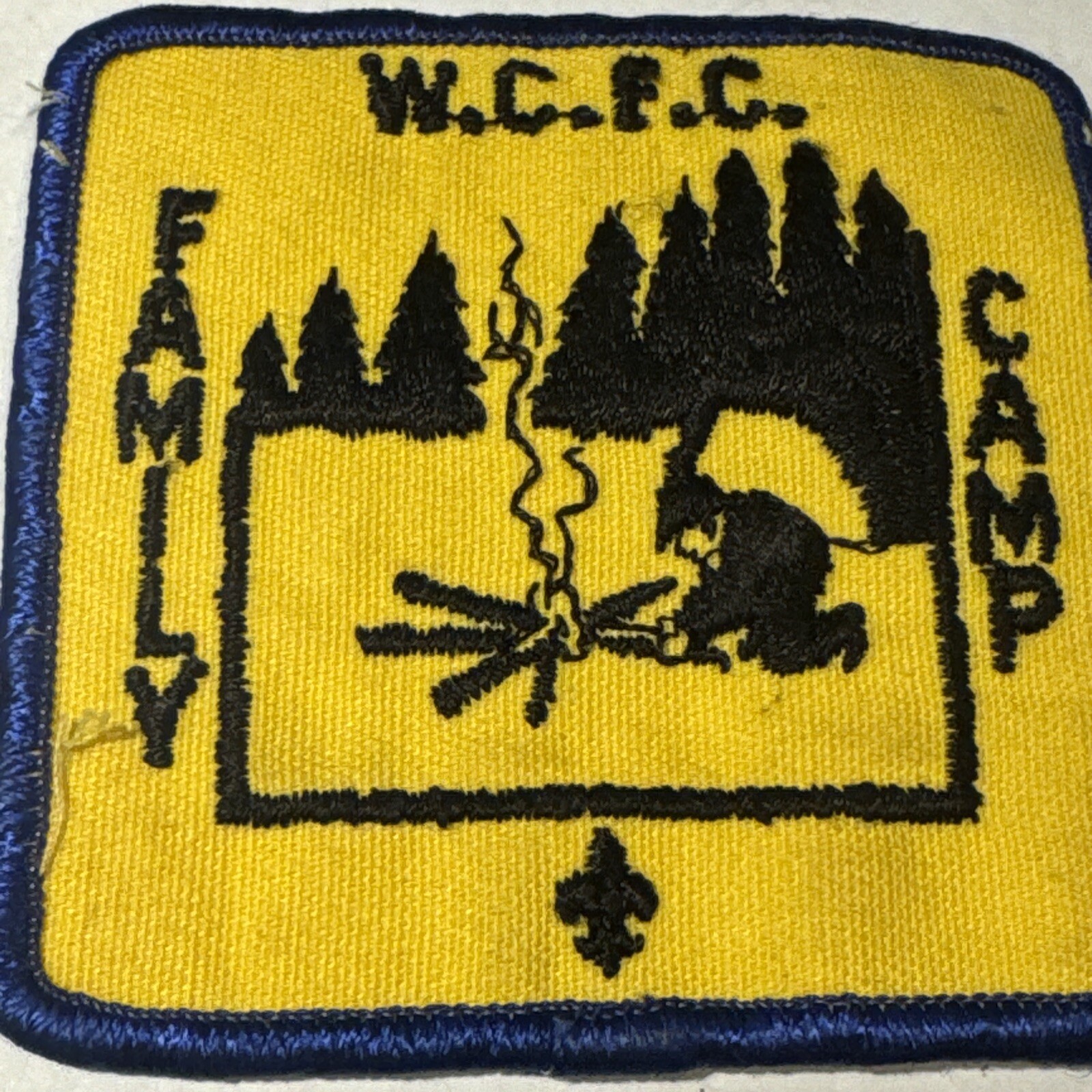 Boy Scouts BSA Patch W.C.F.C. Camp & Family - Rare Vintage