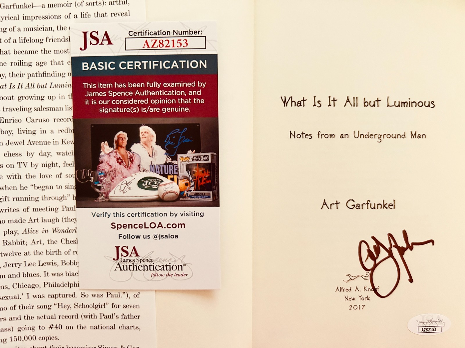 Art Garfunkel signed What Is It All But Luminous hardcover 1st edition book JSA