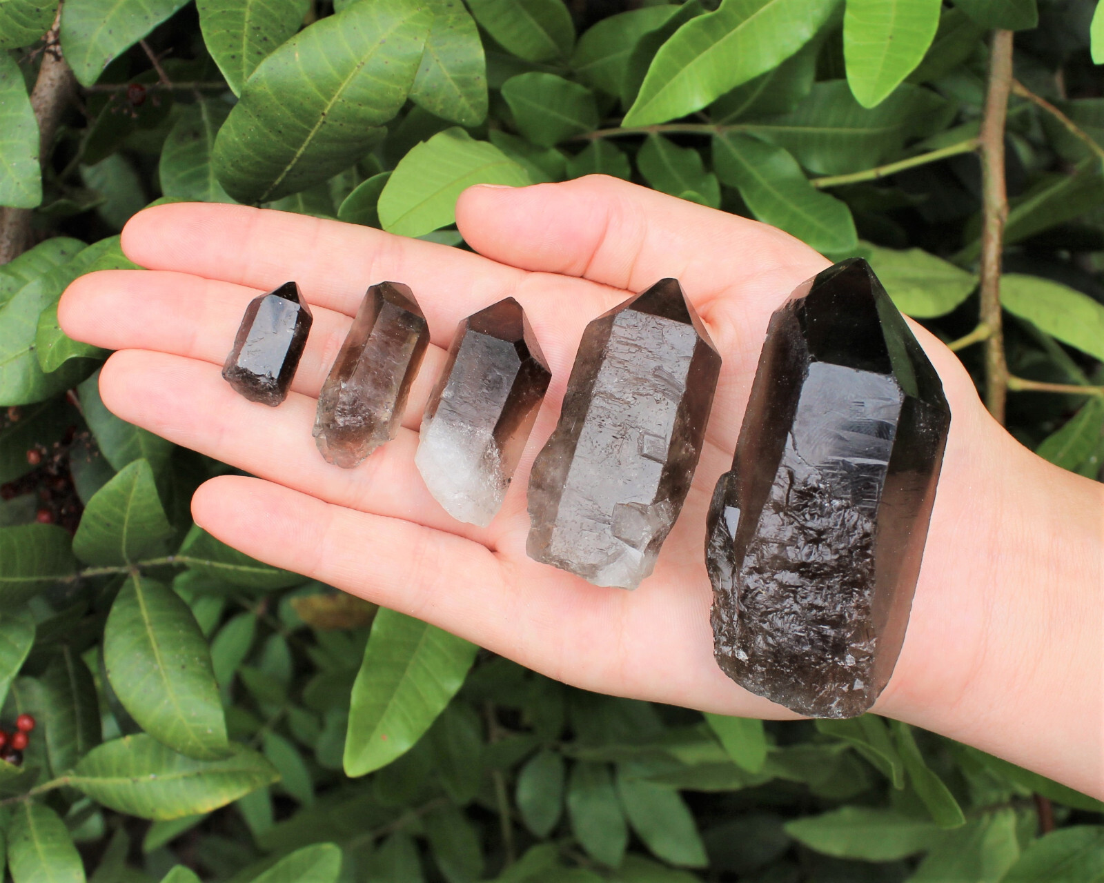 Smoky Quartz Points, 'A' Grade Smokey Quartz Crystal - Choose Size