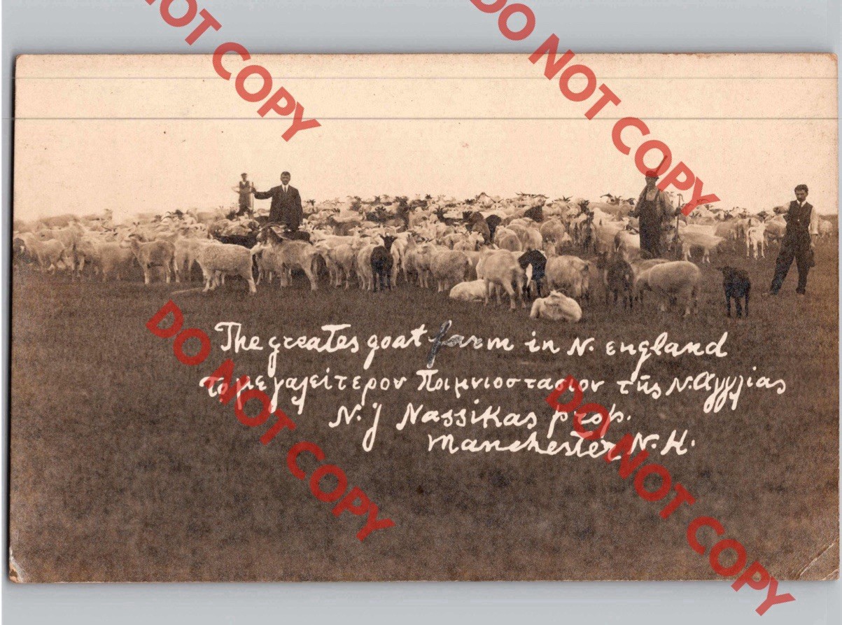 c1910 NJ Nassikas GREEK Greatest Goat Farm MANCHESTER New Hampshire NH RPPC