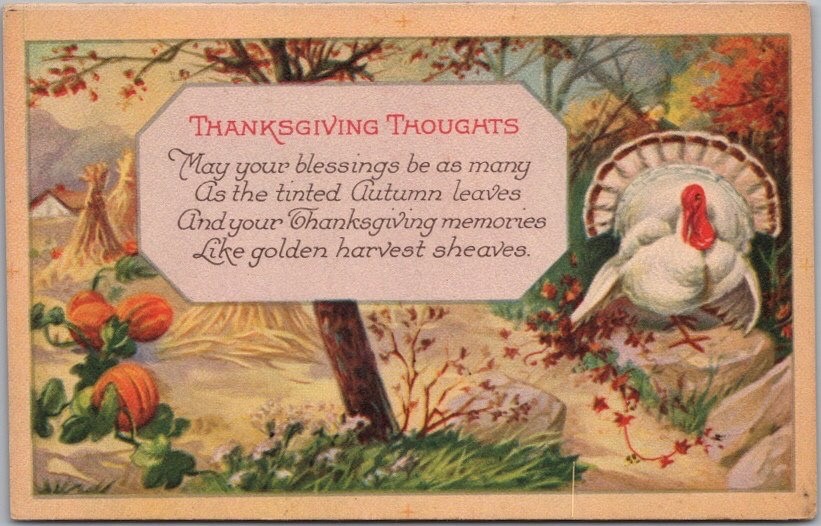 c1910s THANKSGIVING Postcard WHITE TURKEY / Pumpkins in Cornfield STECHER 1262B