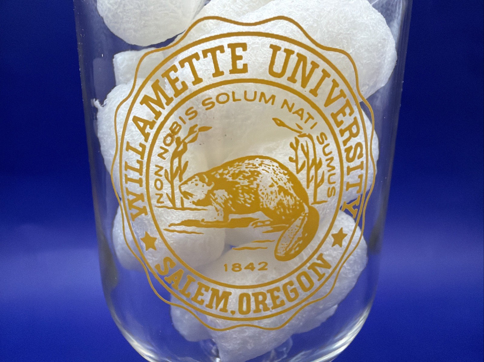 Willamette University Glass Cup Candy Jar Table Kitchen Decor Salem Oregon