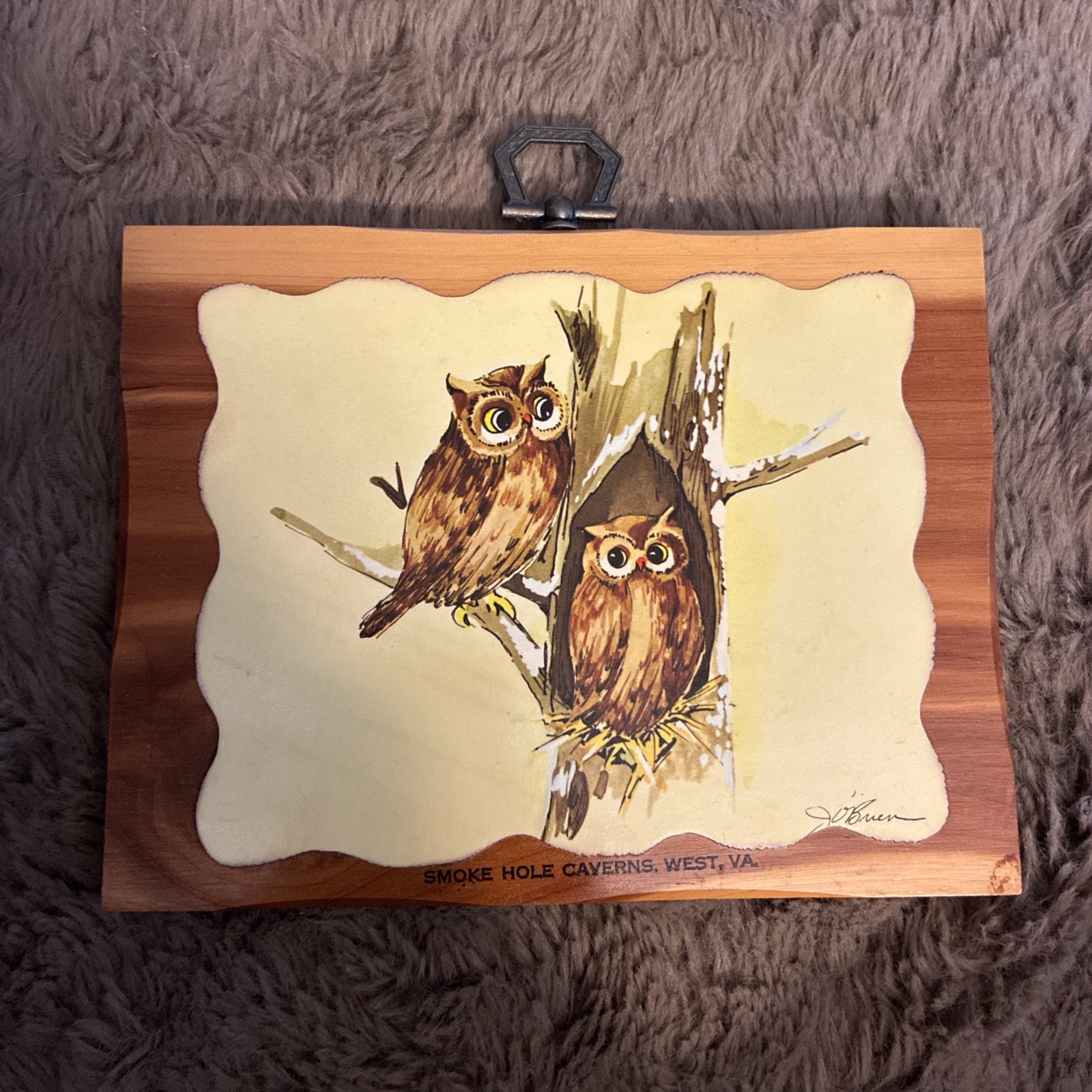VTG 1970’s Decoupage Owl Cedar Wood Plaque J O’Brien Smoke Hole Caverns WV