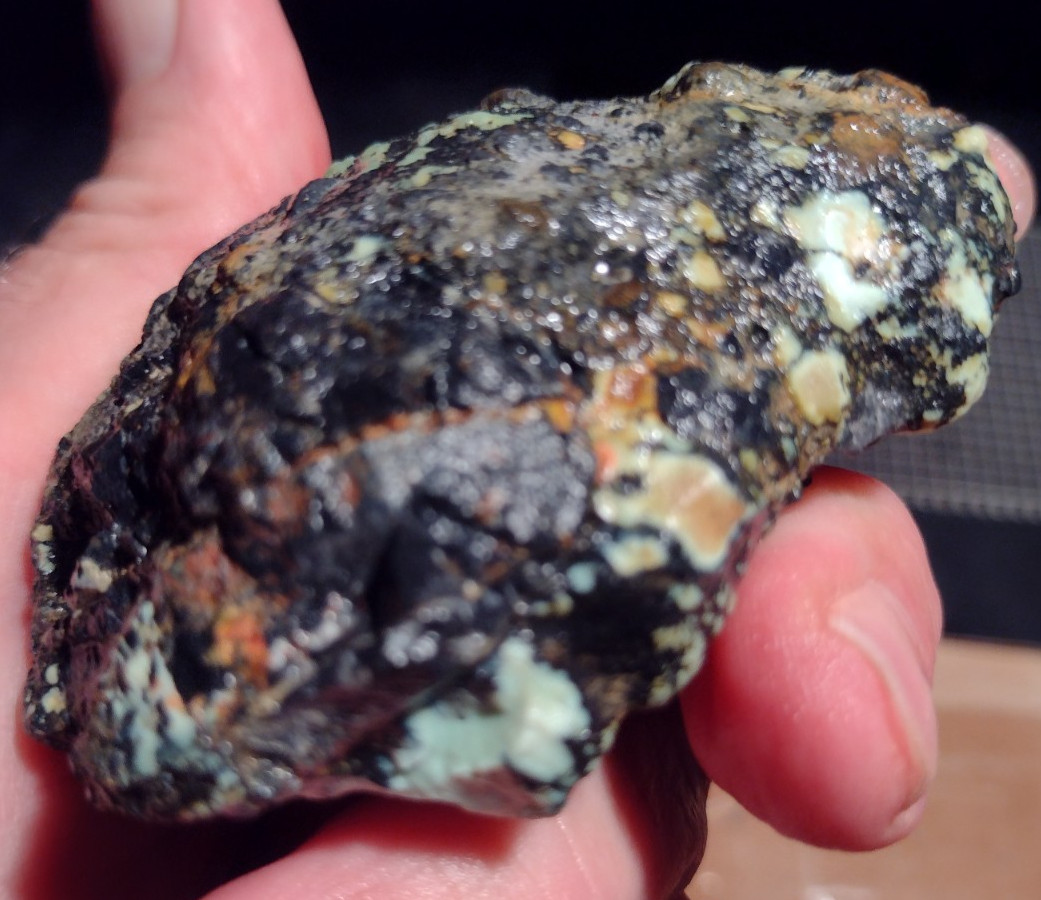 Rare old stock Nevada Variscite Lot 30 THERE'S A FROG IN THERE Carver's delight