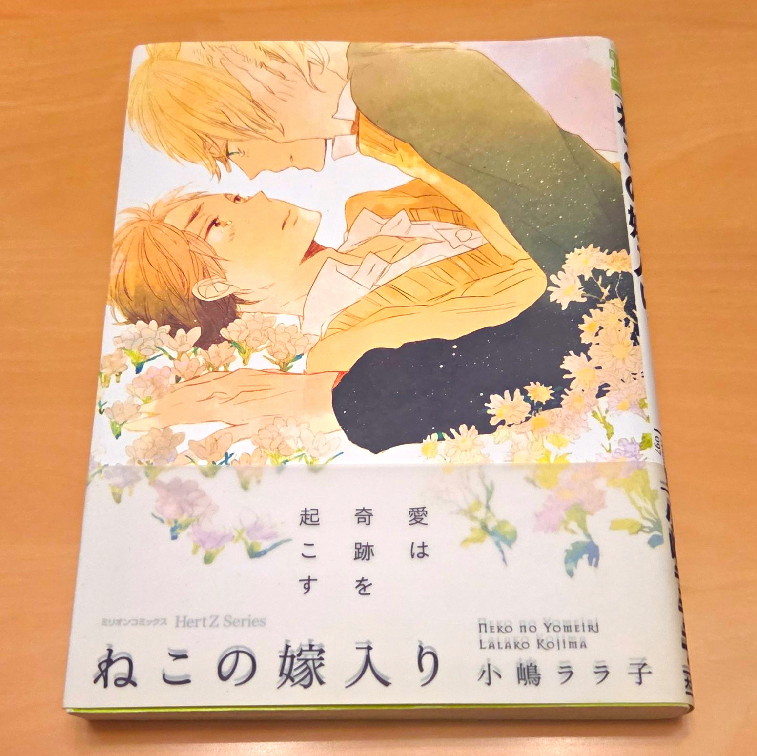 Neko no Yomeiri ねこの嫁入り By 小嶋ララ子Lalako Kojima Yaoi Japanese Manga Hertz