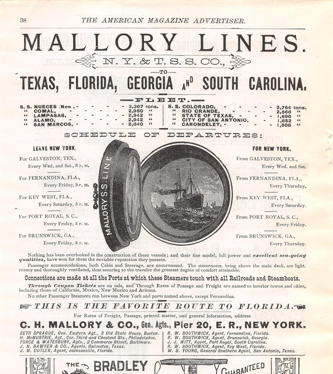 1888 MALLORY LINES ad Steamship Fleet Galveston TX, Port Royal SC, Brunswick GA