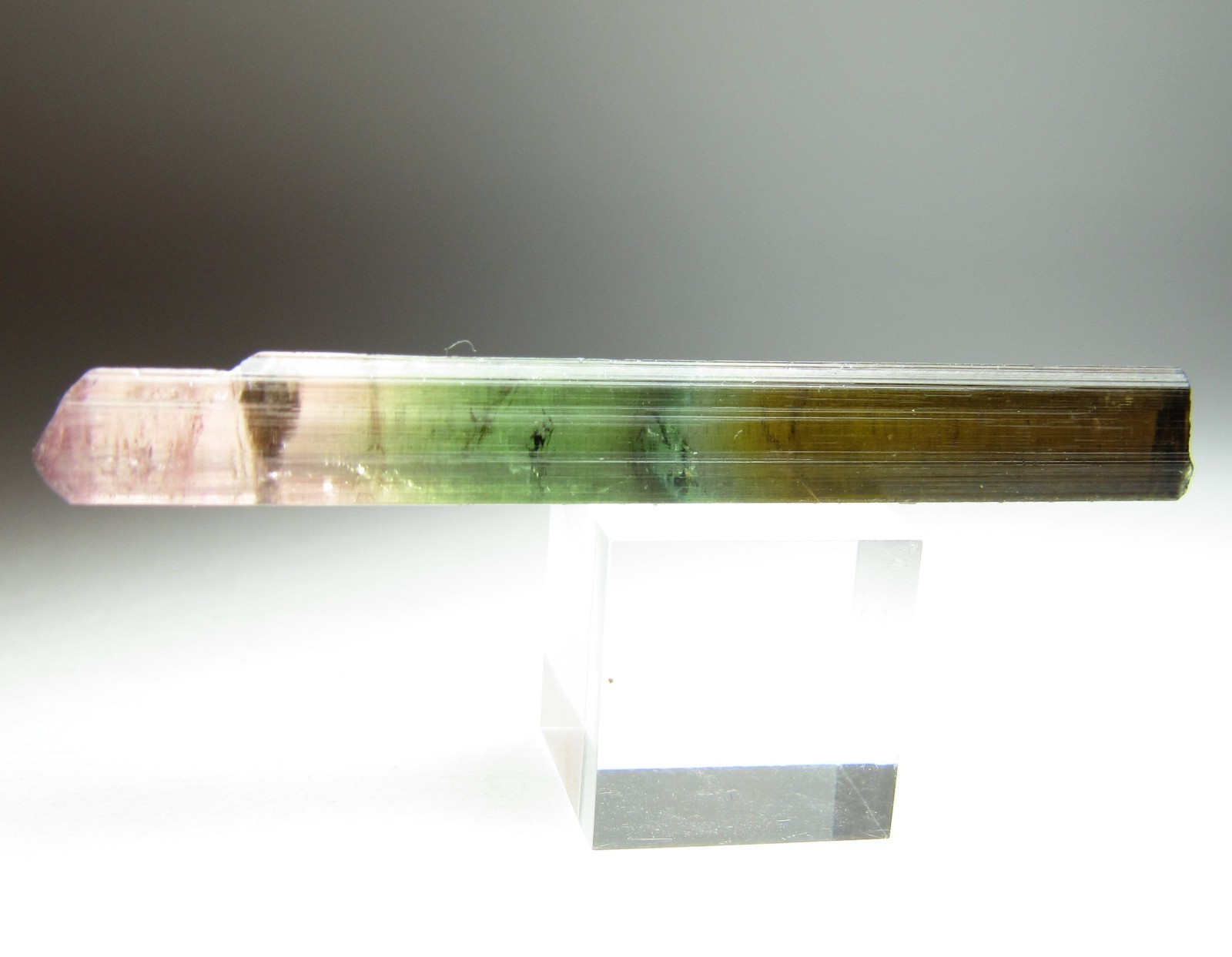 EXCEPTIONAL SPECIAL COLOR GEM TOURMALINE CRYSTAL PAKISTAN NEW FIND 