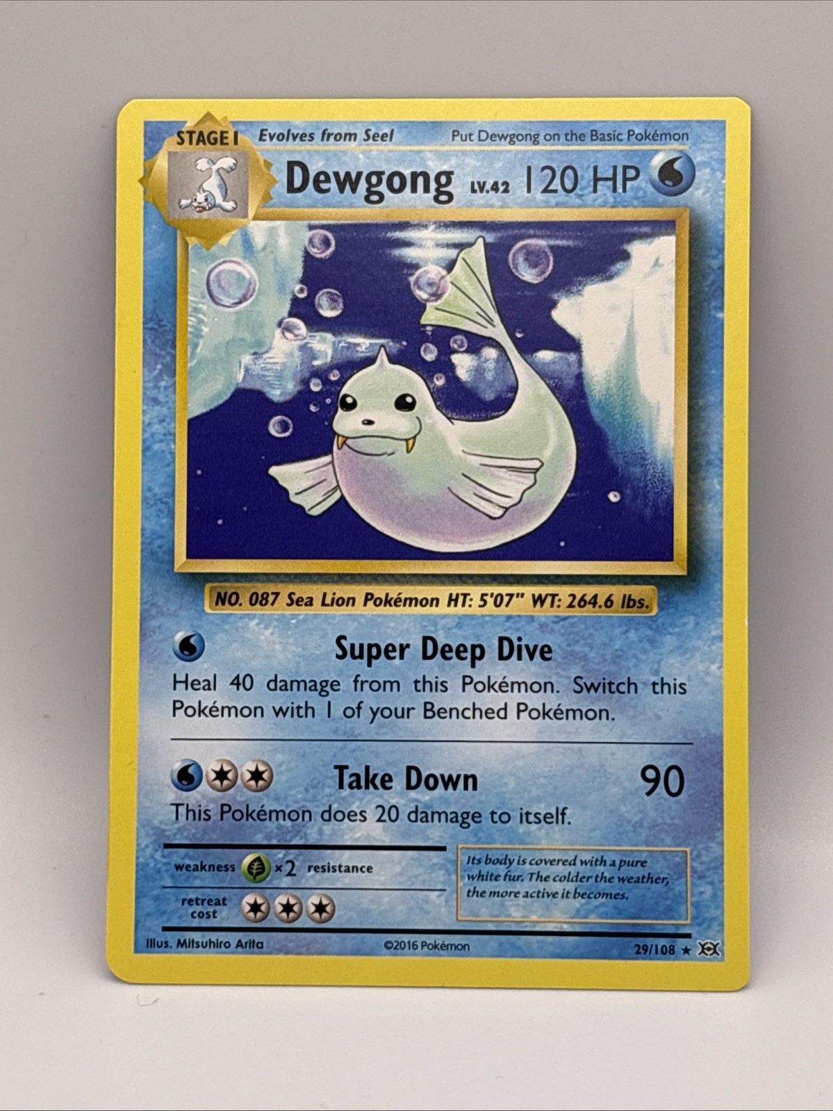 Pokemon - Dewgong 29/108 - XY Evolutions - Non Holo Rare
