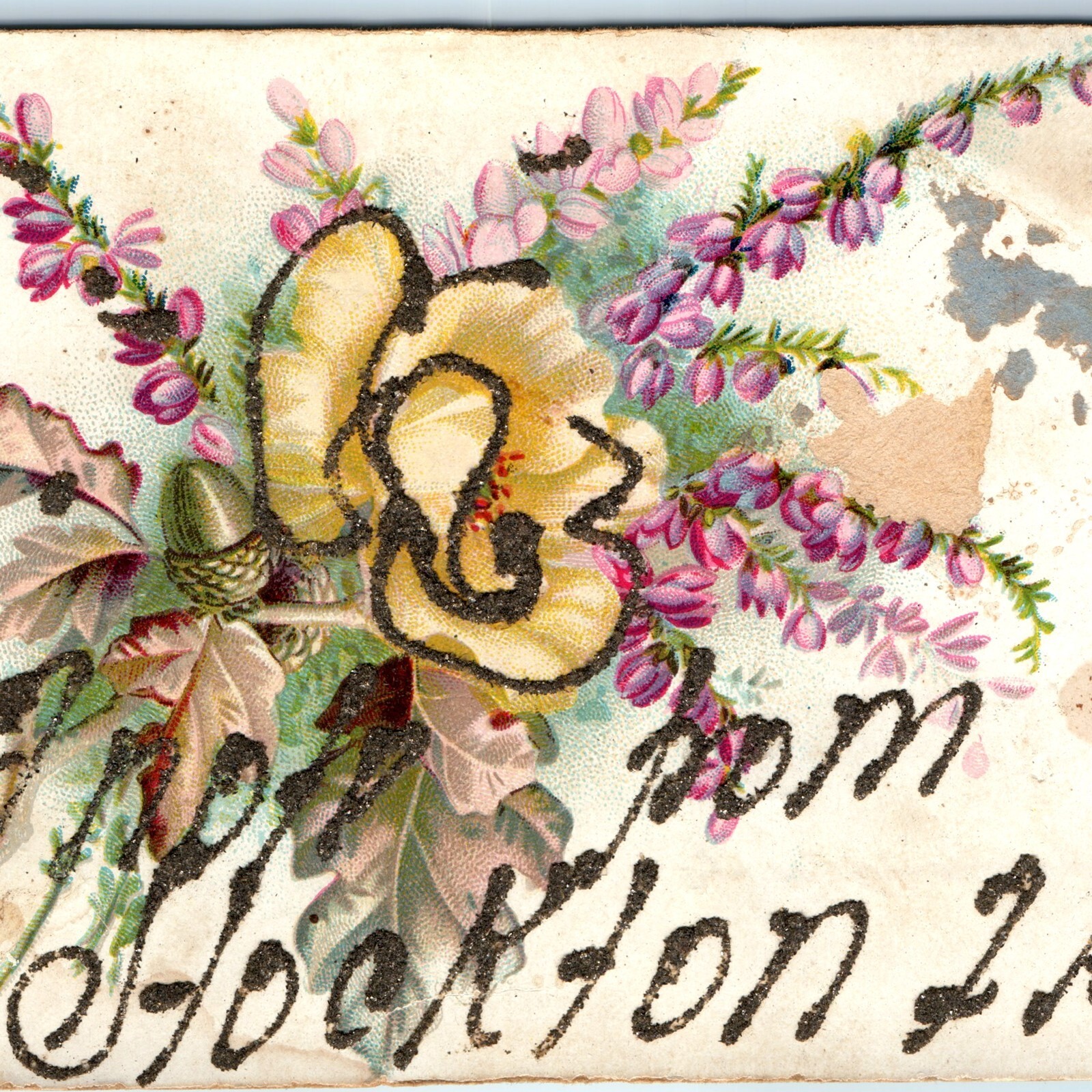 c1910s Stockton, IL Glitter Postcard Greeting Flower Acorn Mt Carroll Illinois
