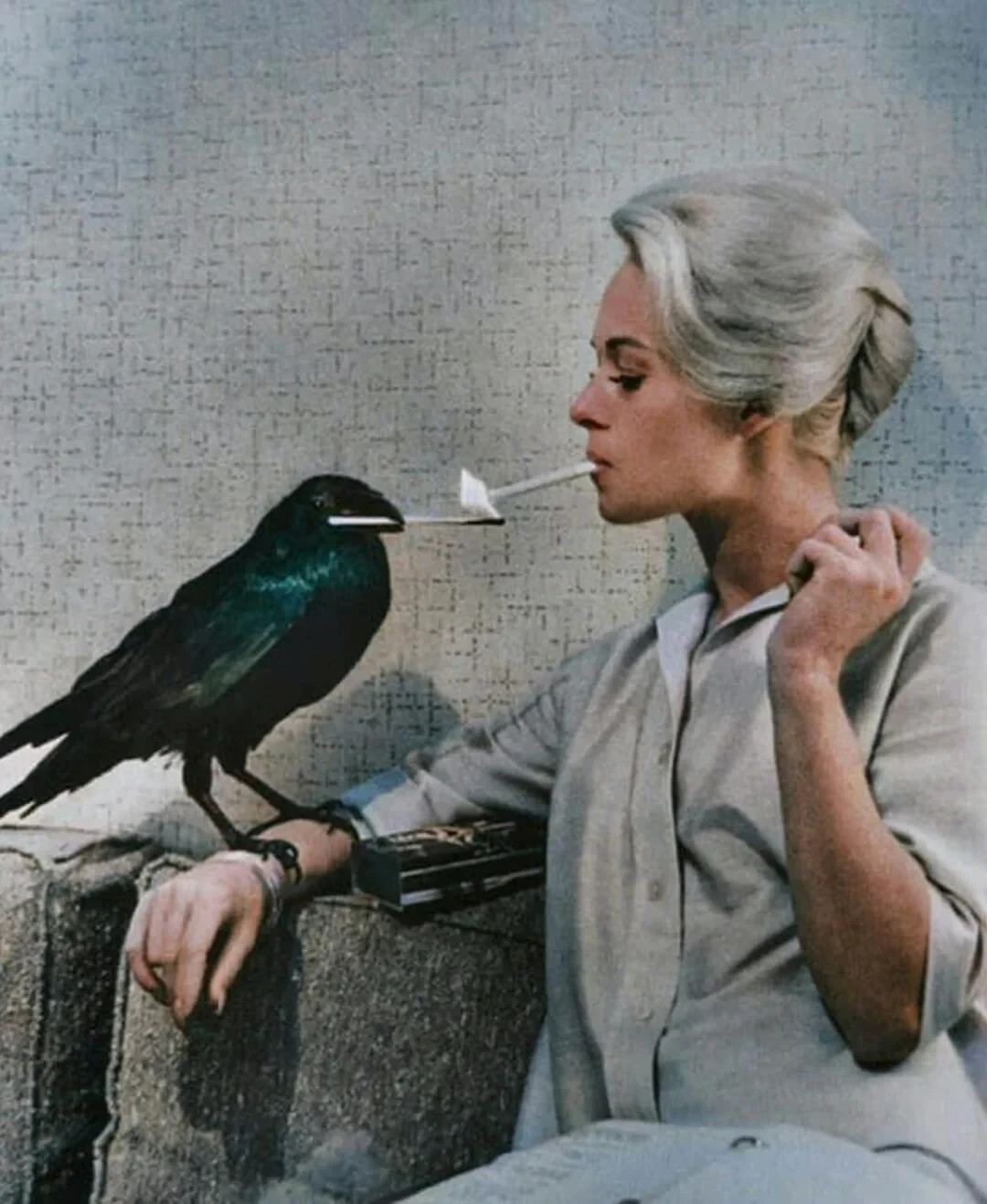 BEAUTIFUL TIPPI HEDREN 8X10 Photo