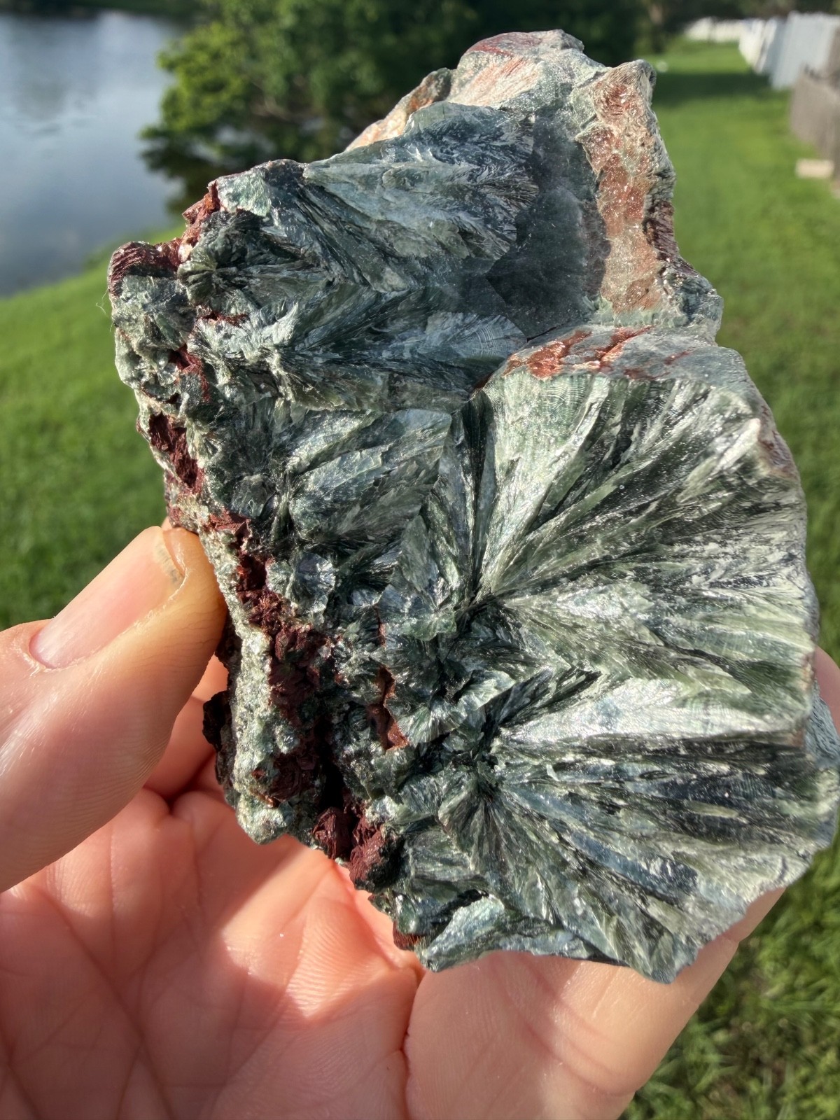 Real nice large Raw Seraphinite 206 grams 3
