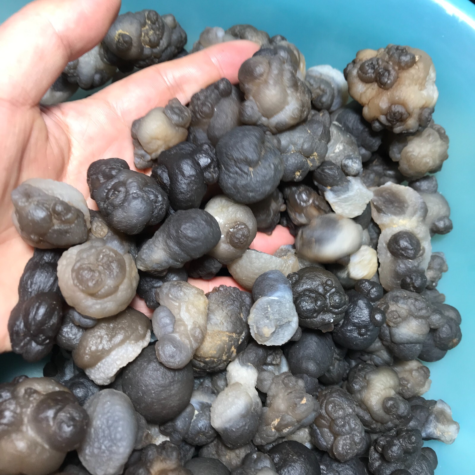 1000g 100pcs Bonsai Suiseki- Gobi Agate Eyes Stone-Rare Stunning Viewing