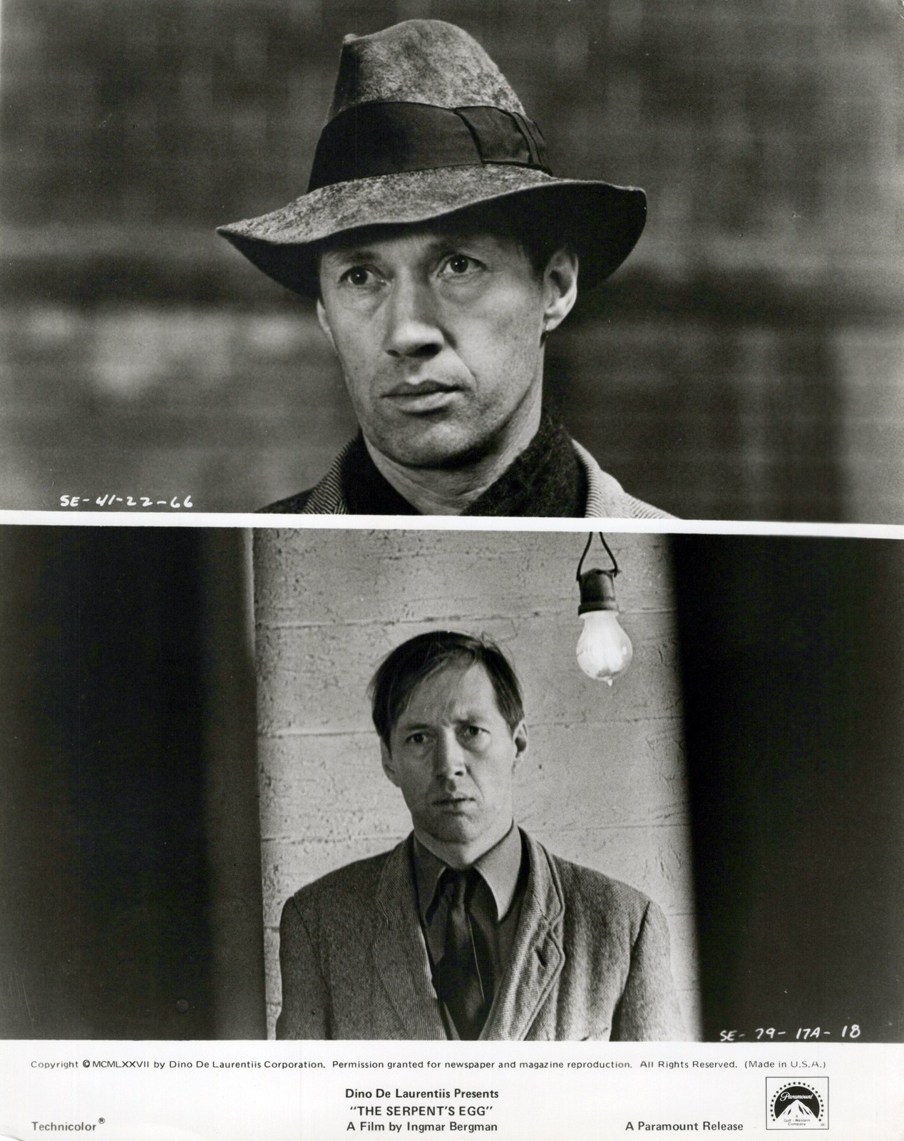 David Carradine in The Serpent\'s Egg (1977) ❤ Hollywood Press Movie Photo 1479K