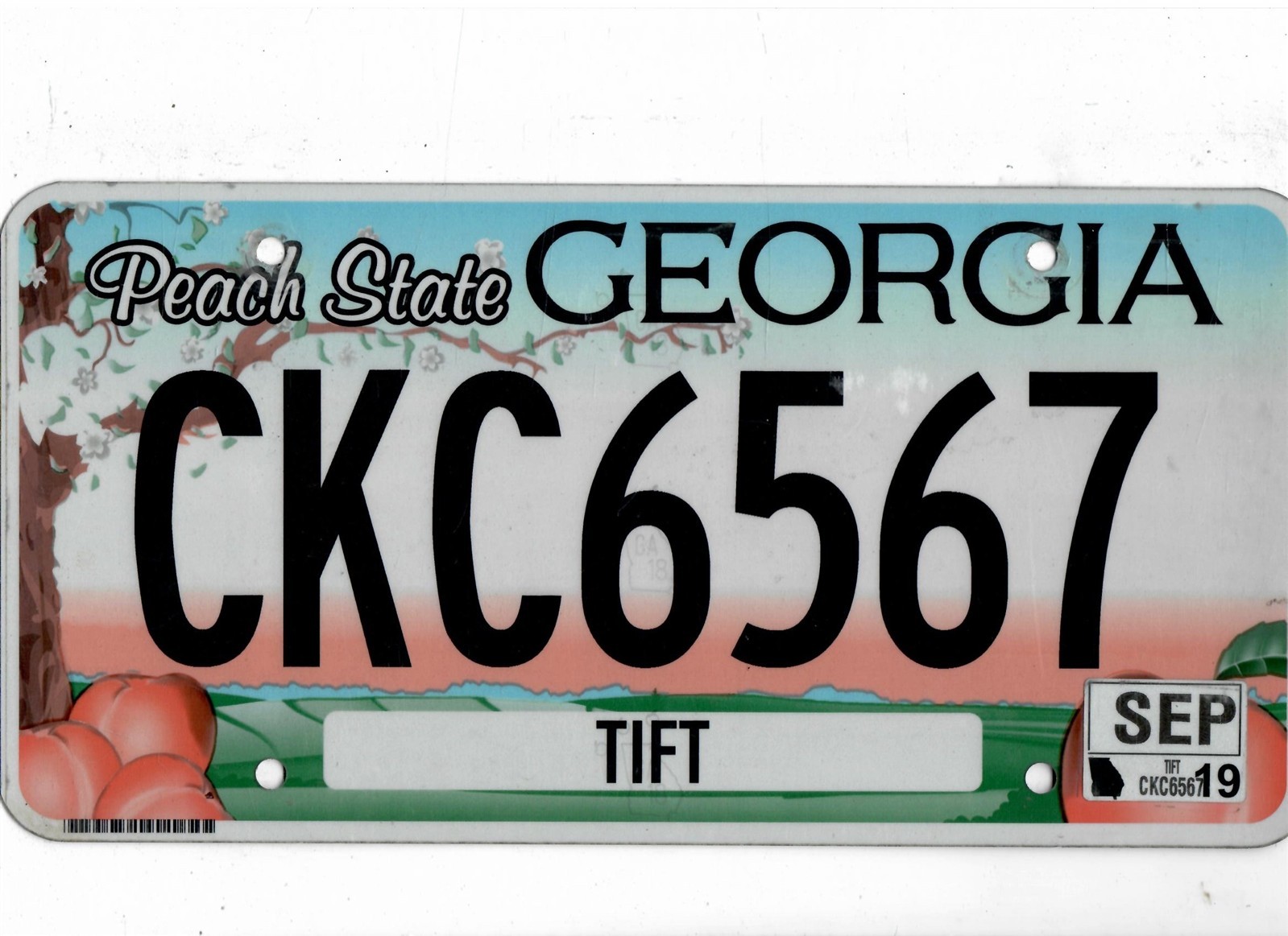 GEORGIA passenger 2019 license plate 