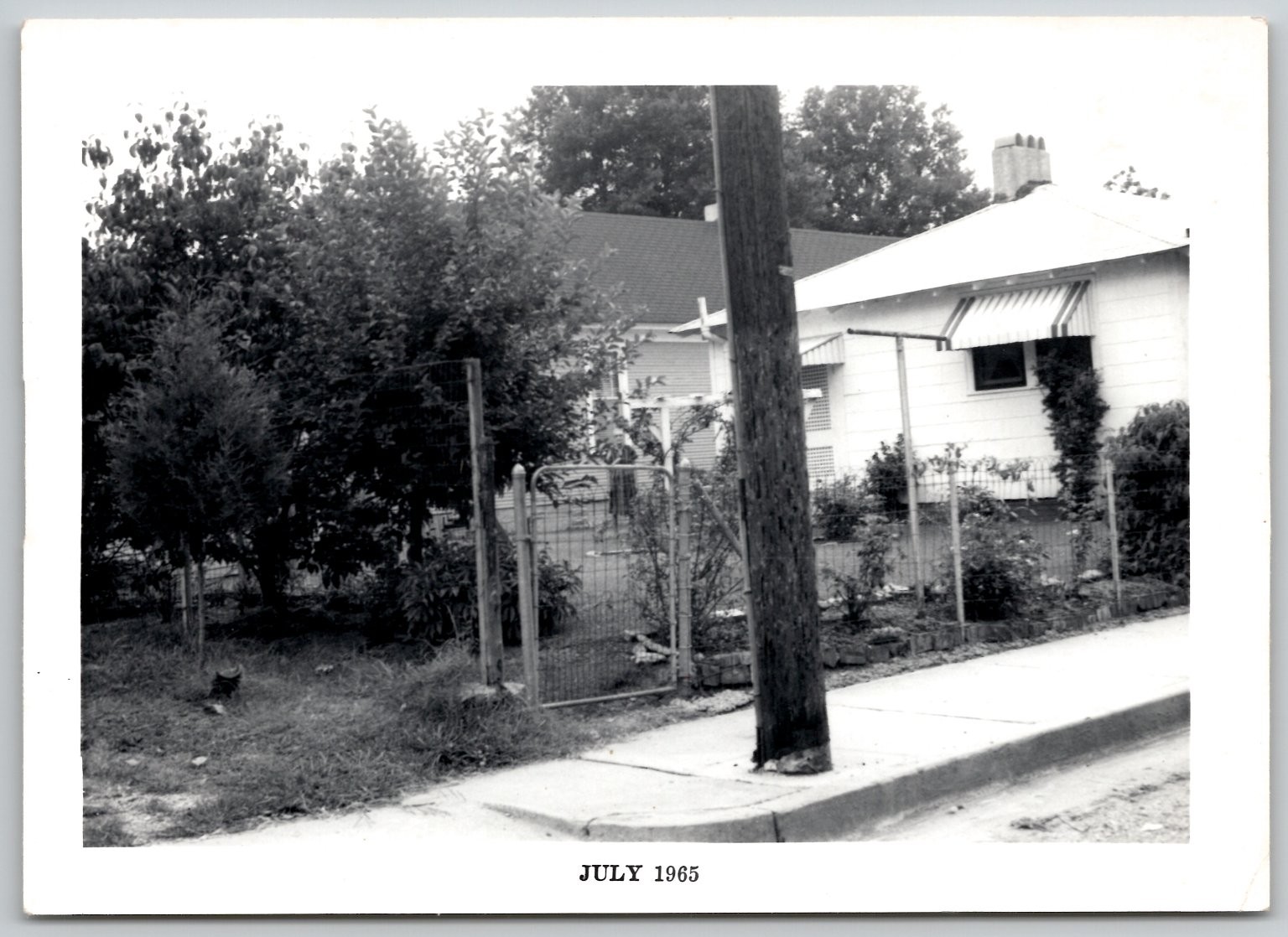 Residential Scene Cat 1960s Snapshot Photograph Americana Found Photo